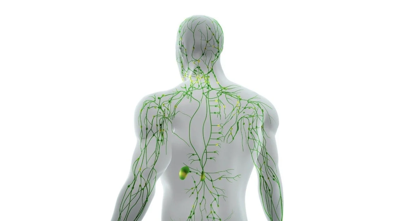 The Real Science of Detoxing: How Your Body Actually Eliminates Waste