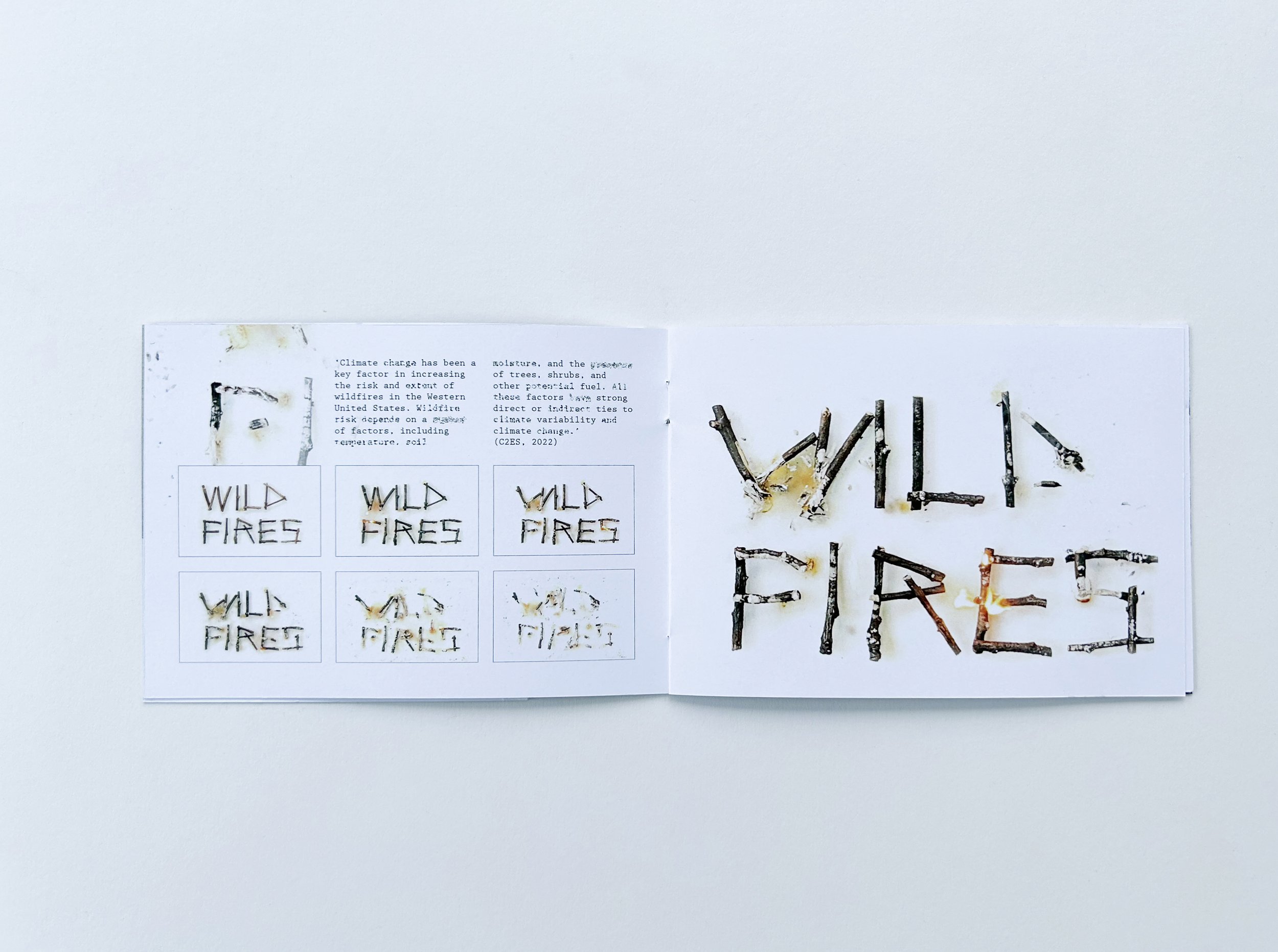 Wild fires_web.jpg