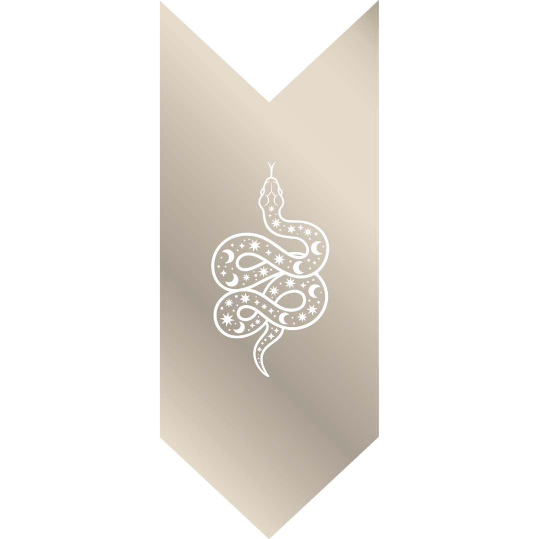 A metallic box with snake icon