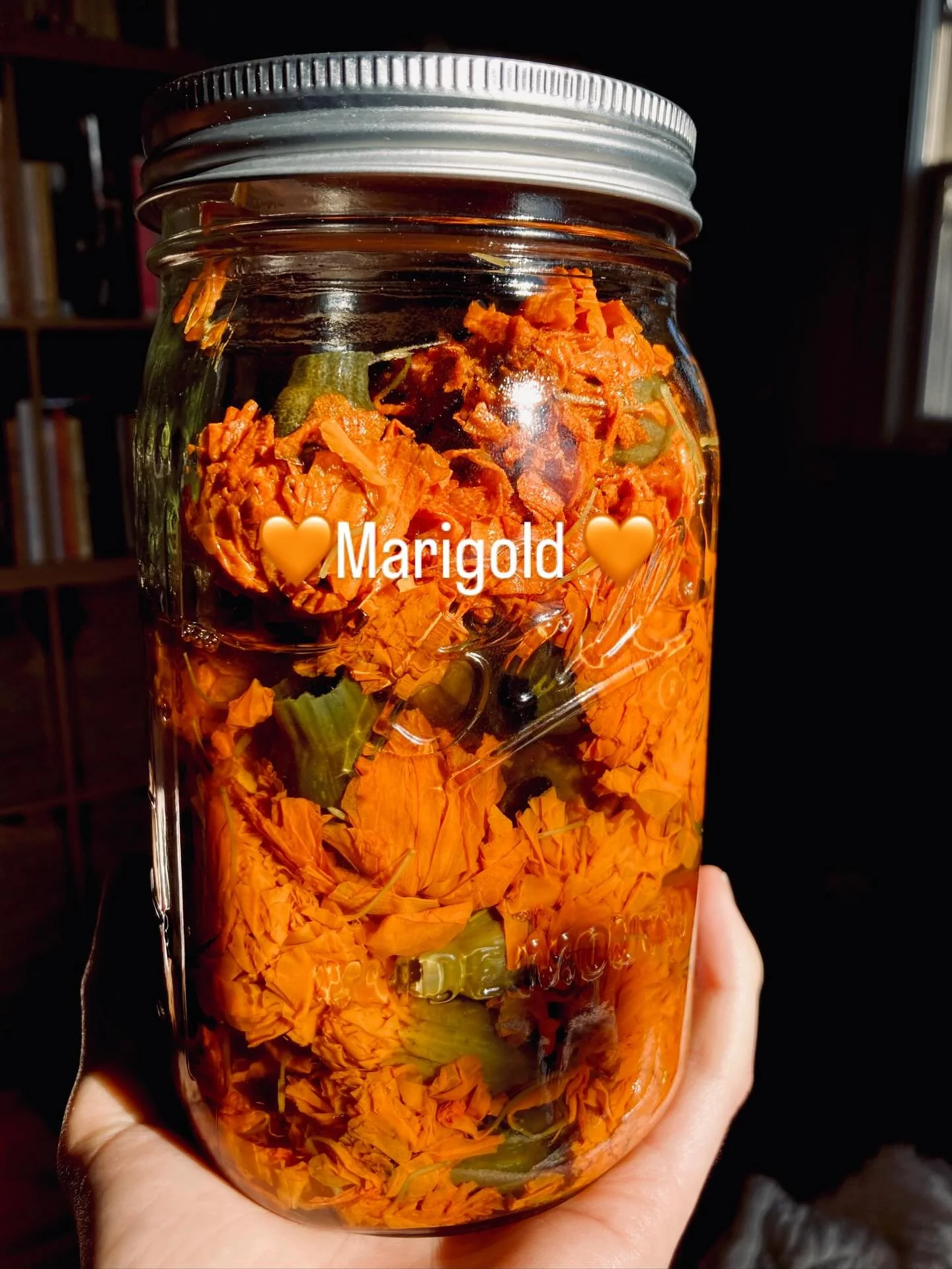 The medicine of marigold is liminal, ancestral and invites us to explore the transformations of grief.