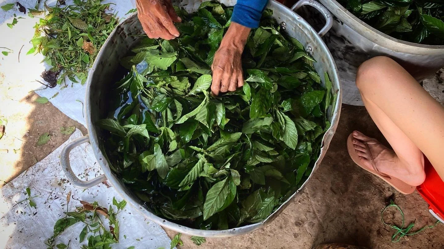 Making medicine, breathing visions into life 🐍