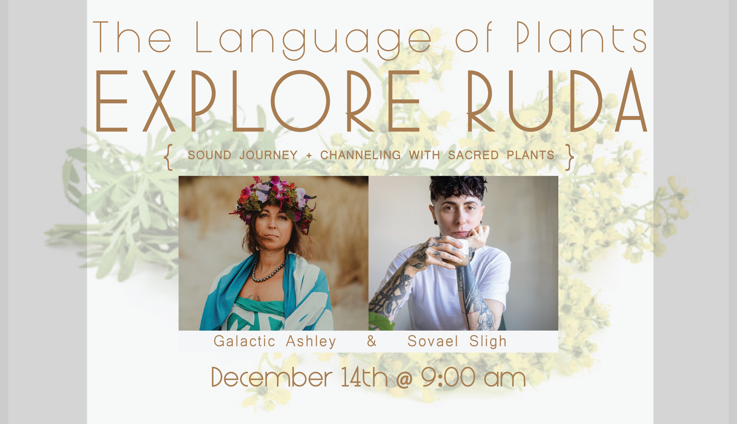 The Language of Plants: Explore Ruda