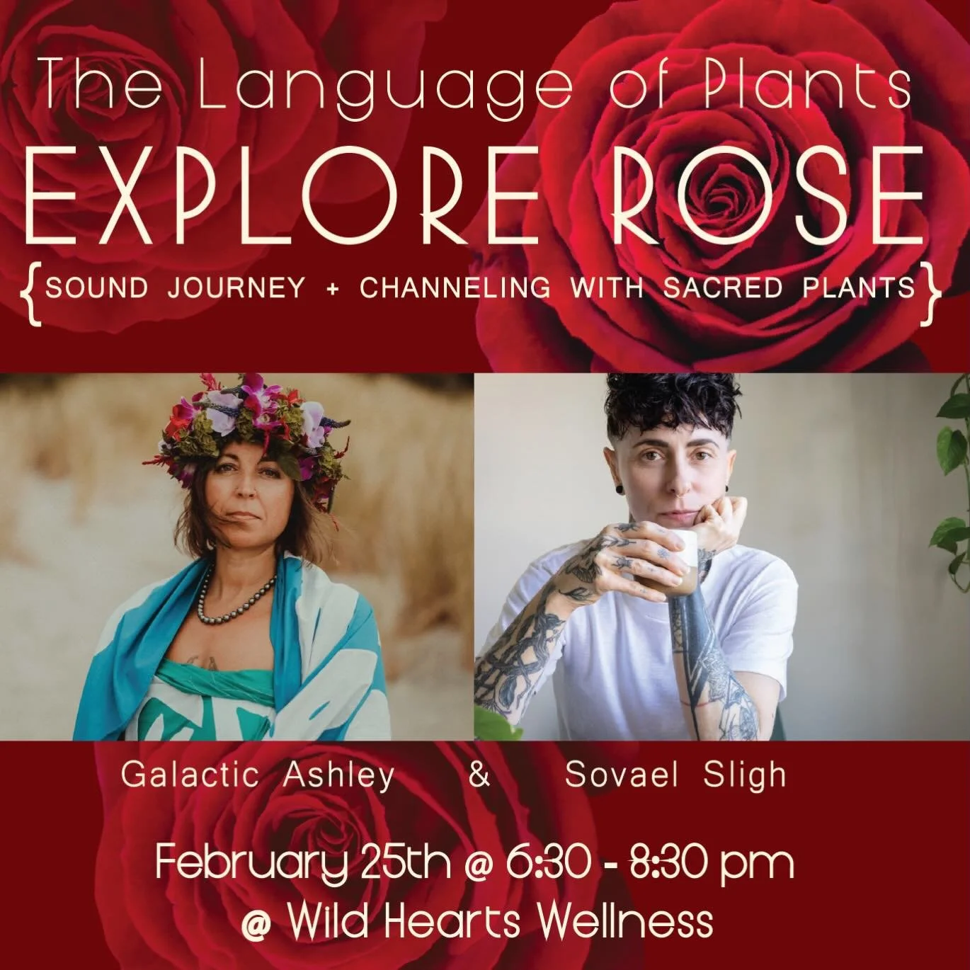 Come join us in February as we explore the wisdom and magic of Rose 🌹. {event link in bio or DM}. The Language of Plants is a guided, experiential gathering that invites participants into an intimate and embodied relationship with plant intelligence