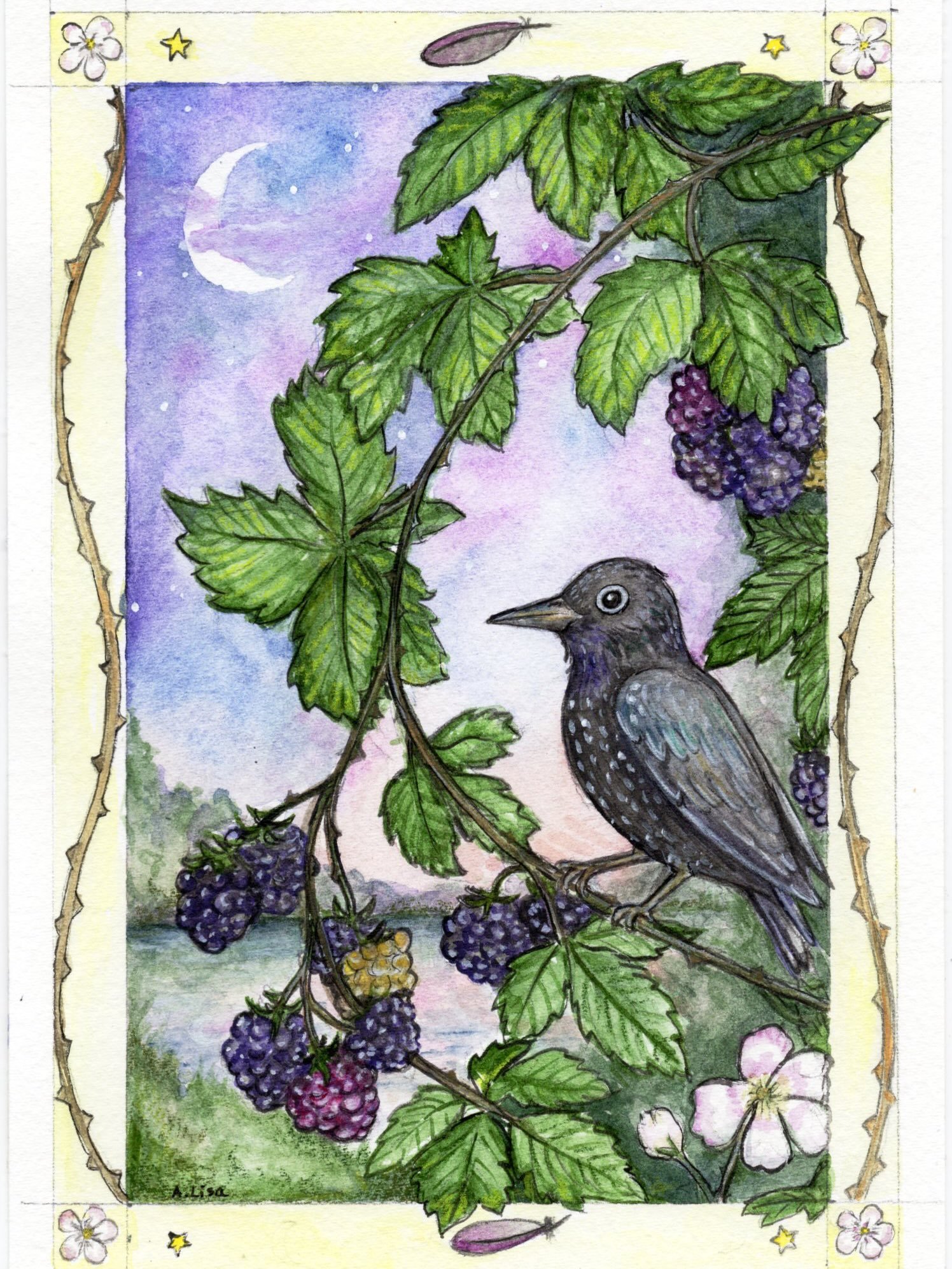 Hi! Annabell here, this week&rsquo;s prompt is Starling and Blackberry for the art challenge #botanicalbeasties2026.
I love the colors of the starling with the blackberries. Art is done with my favorite supplies: watercolor, neocolor II and gouache.
