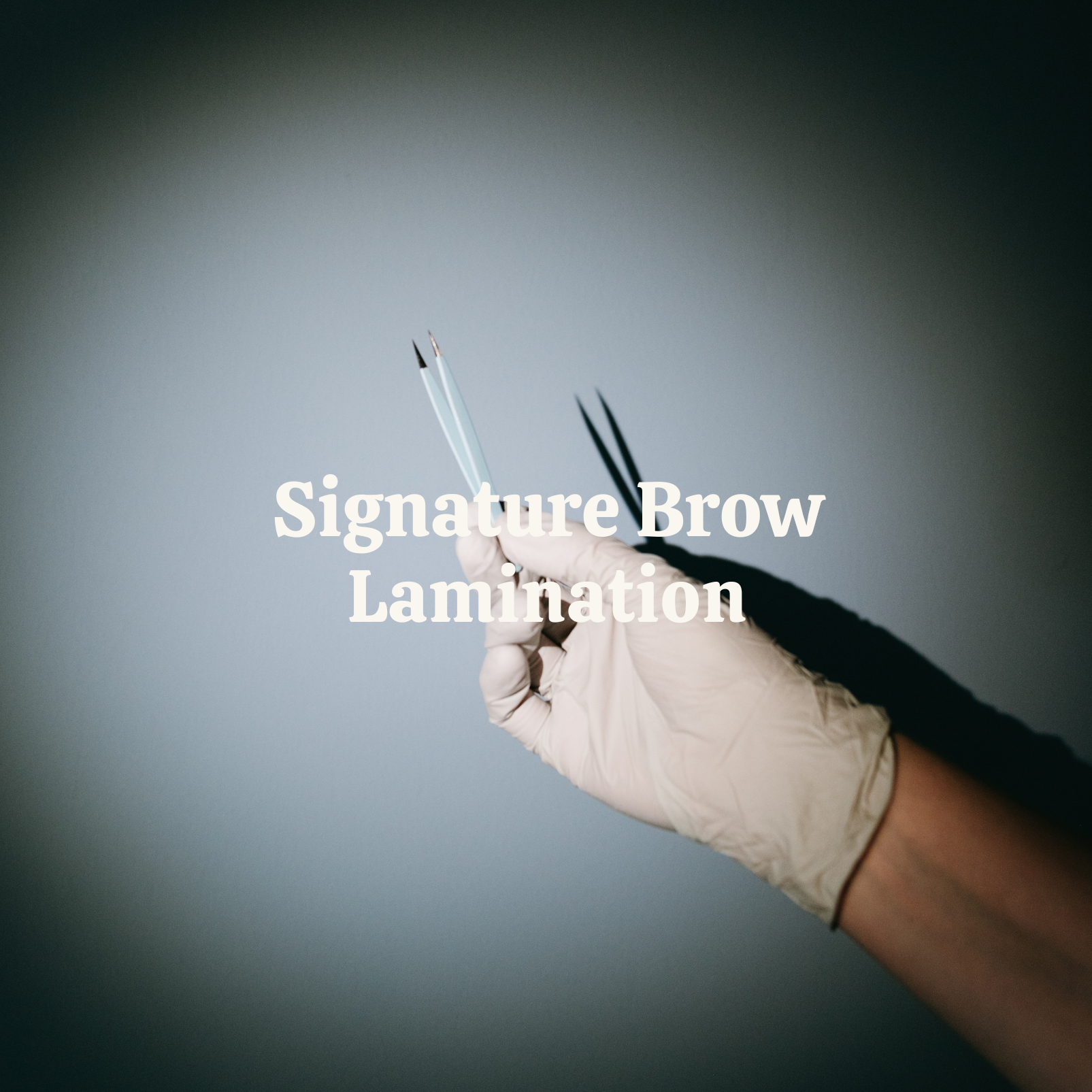 Signature Brow Lamination