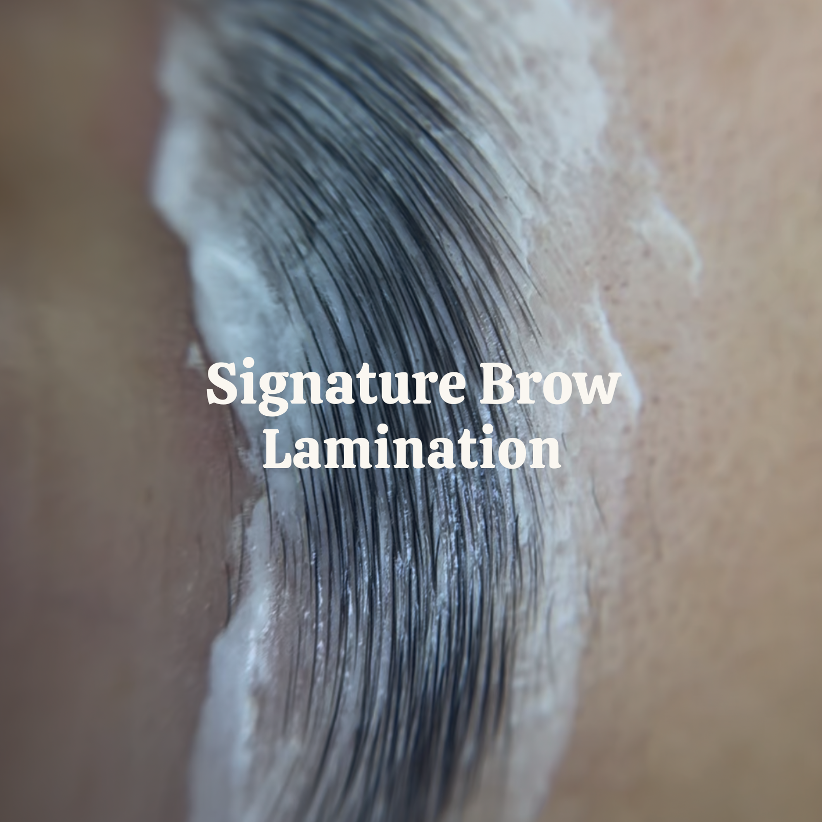 Signature Brow Lamination