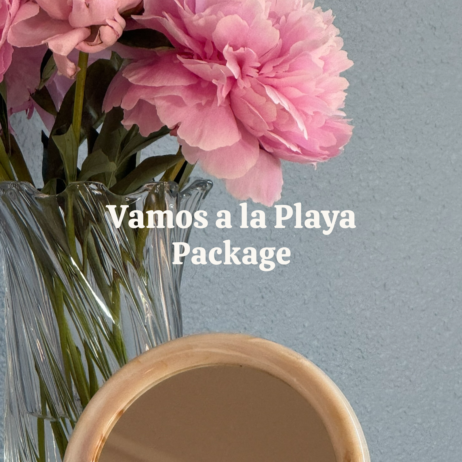 Vamos a La Playa Package