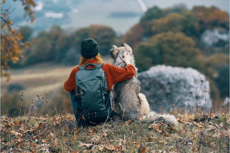 Are you over-training your dog?