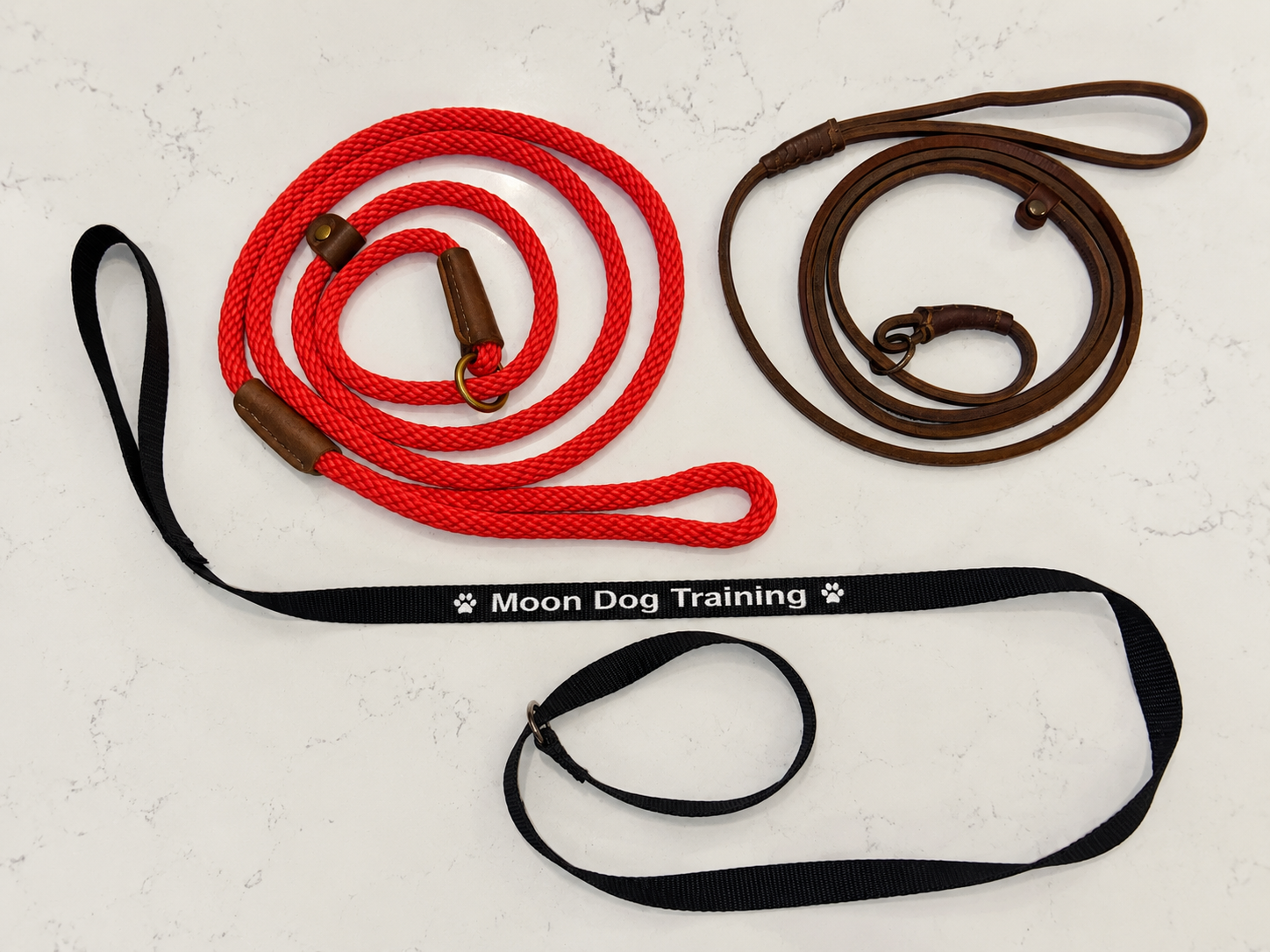 The Secret to Better Leash Handling: It's About Connection, Not Control
