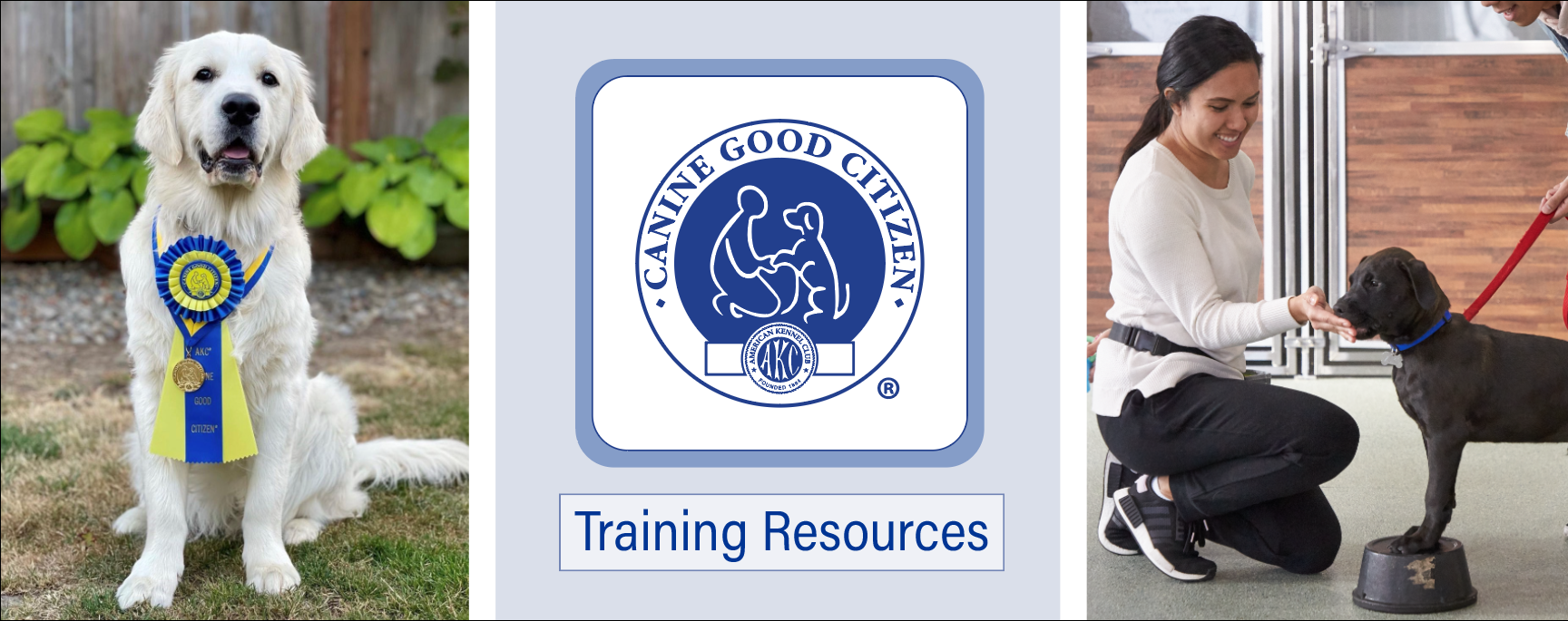 Moon Dog Training Canine Good Citizen Class.png