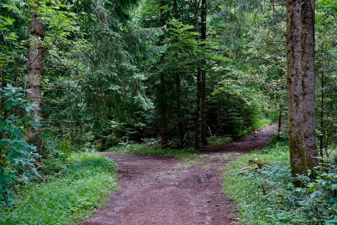 How One Simple Choice Can Help You Stop Spiraling