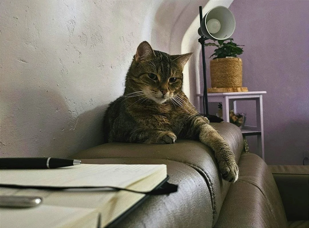 Why Journaling is So Hard for Perfectionists and 5 Ideas to Make It Easier