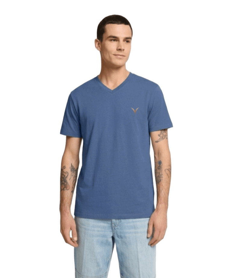 Short Sleeves V T-shirt