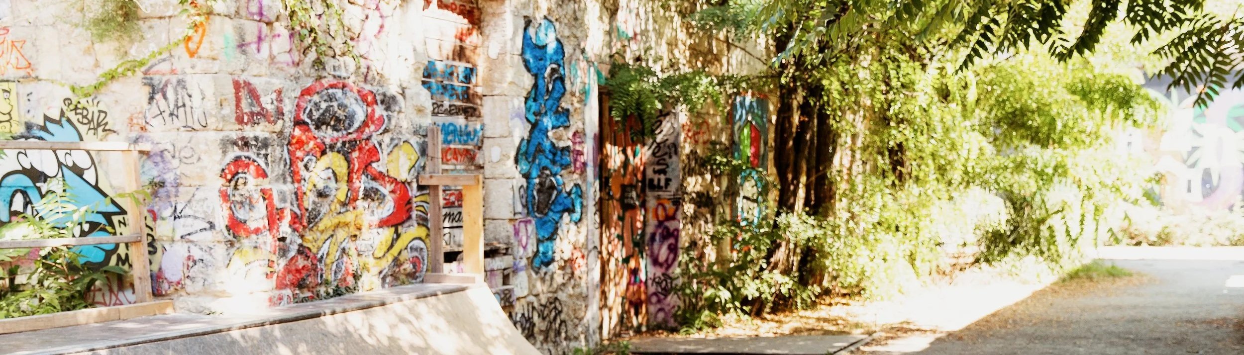 A graffiti-covered wall on the left side with colorful tags and artwork, a bench with objects on it in the foreground, and lush green trees lining a sunny pathway on the right side.