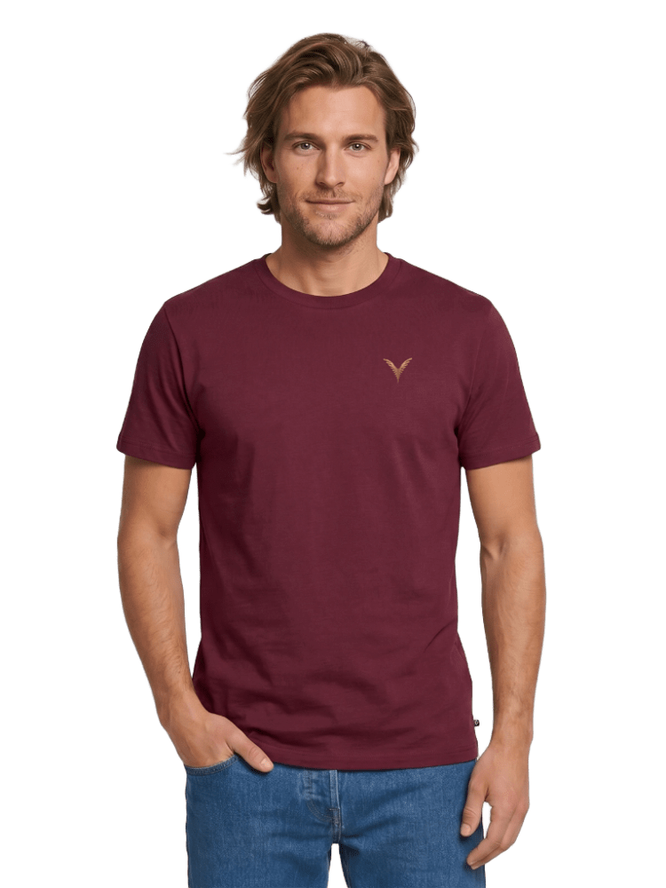 Short Sleeves T-shirt for men