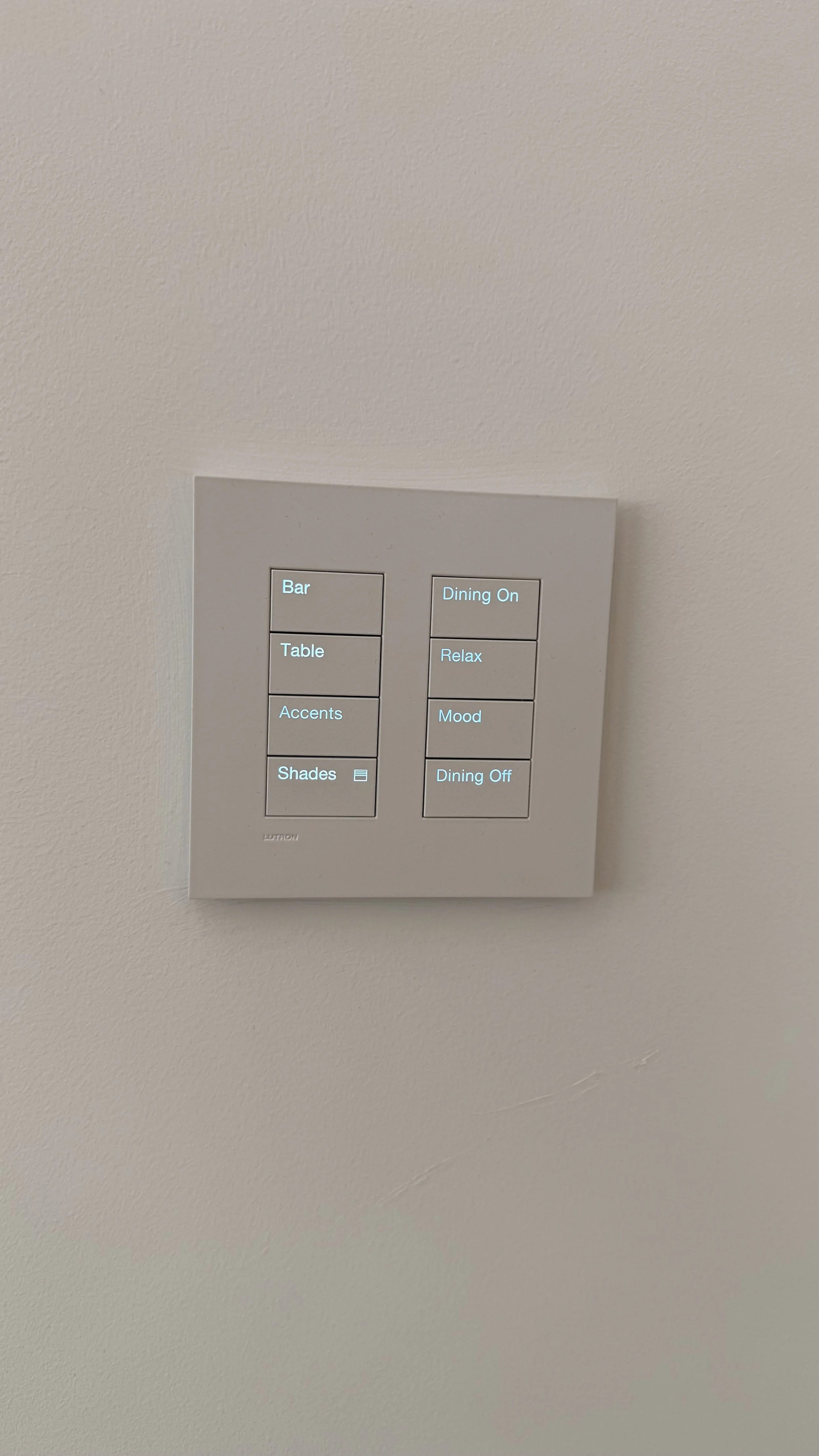 Photo Apr 25 2025, 14 23 39.jpg