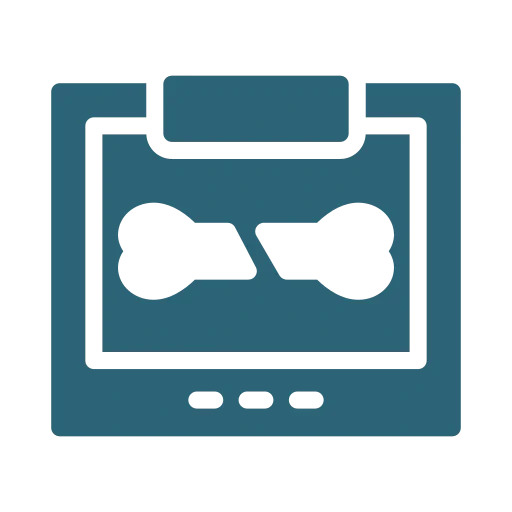 X-ray icon