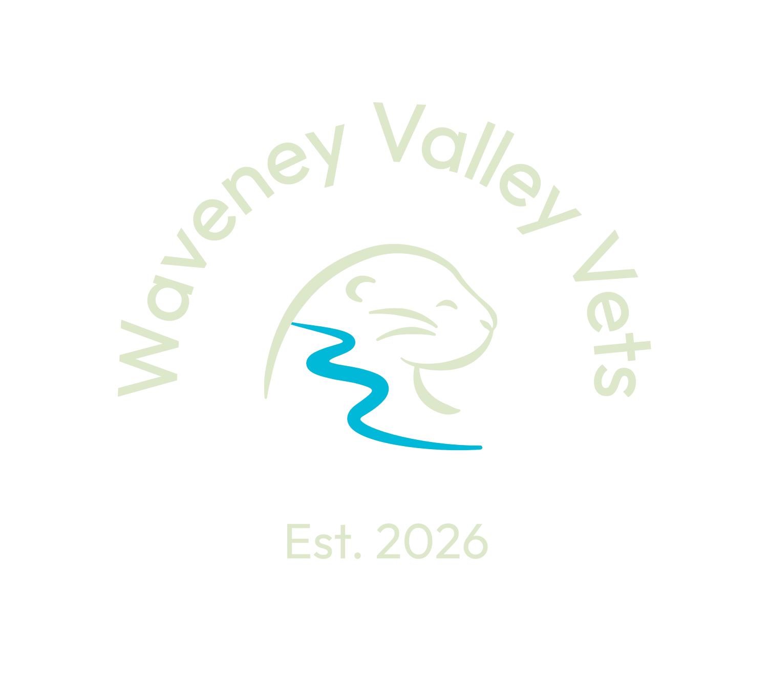 Waveney Valley Vets