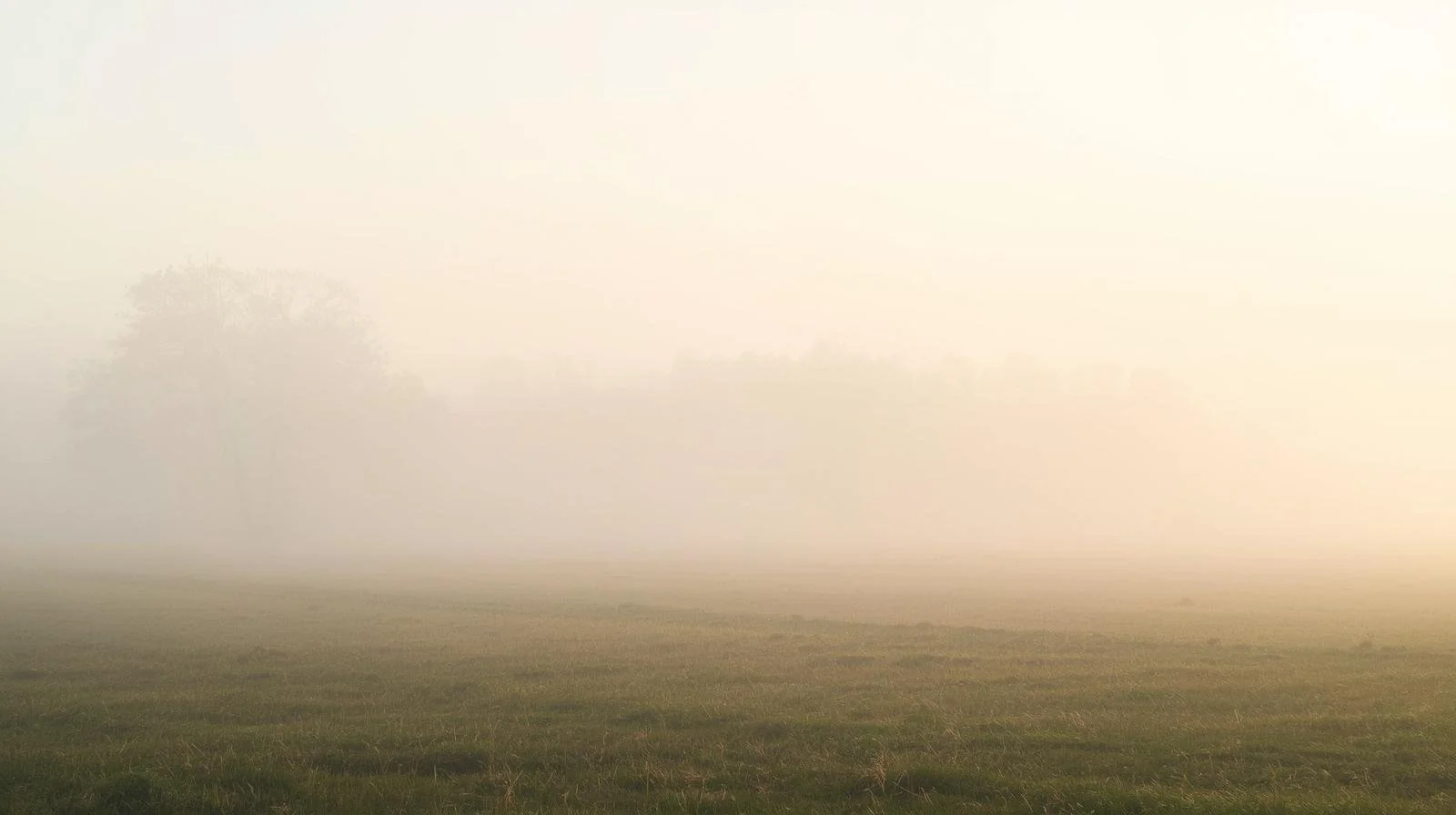 Navigating Grief With Compassion (When the World Feels Too Loud)