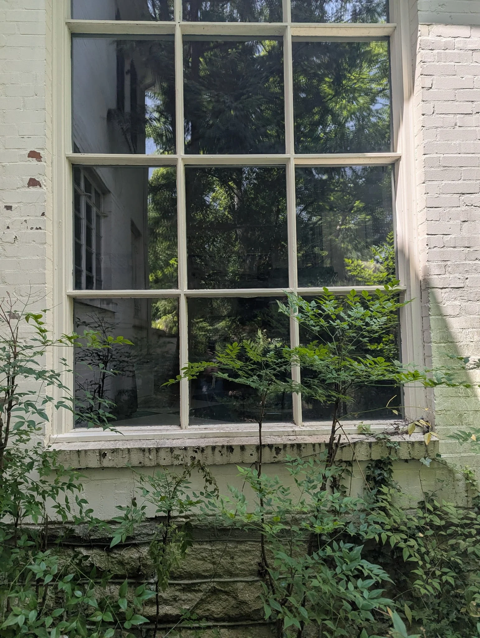 Original historic wood window before restoration and replacement on a residential property in Tennessee.
