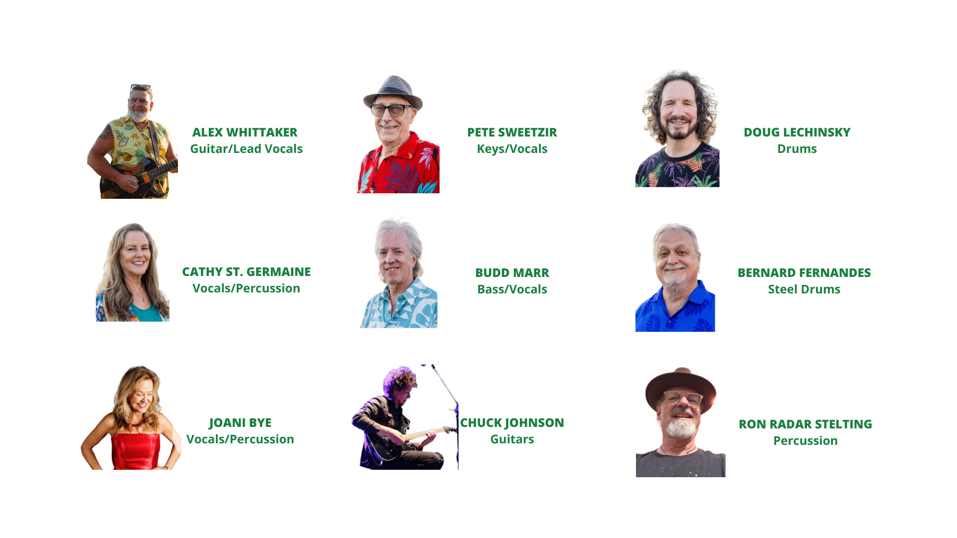 Images and titles for all band members of Volcano! The Music and Shenanigans of Jimmy Buffett