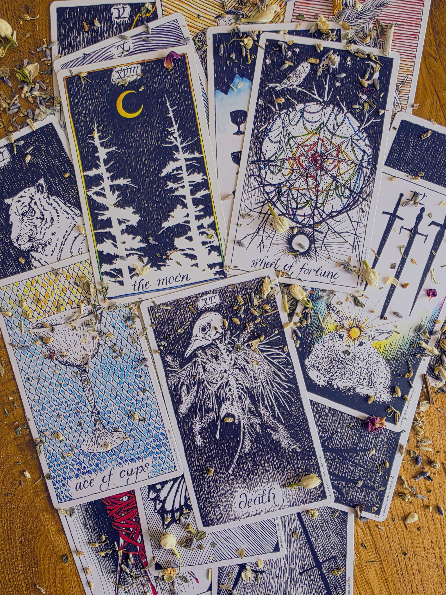 Spiritual Guidance Reading