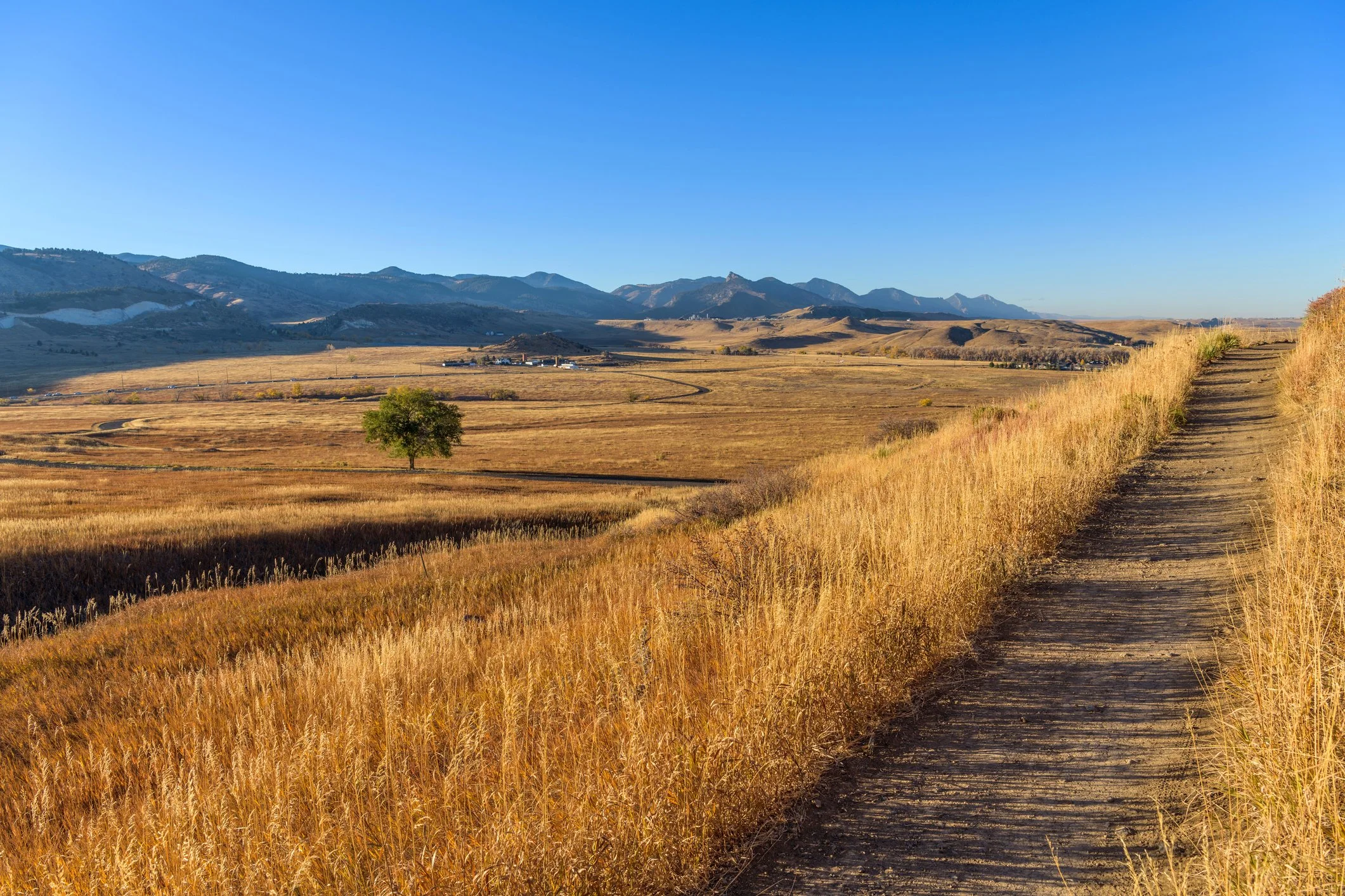 Trail along the front range