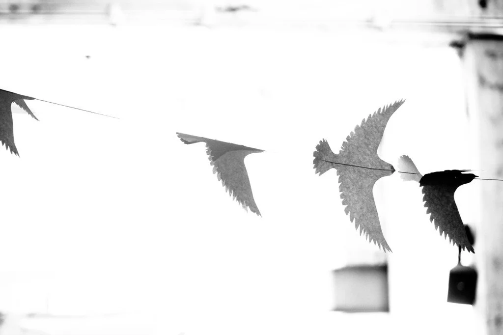 A black and white photo of an outdoor scene with a string of paper or fabric birds hanging, facing in different directions, against a bright background.