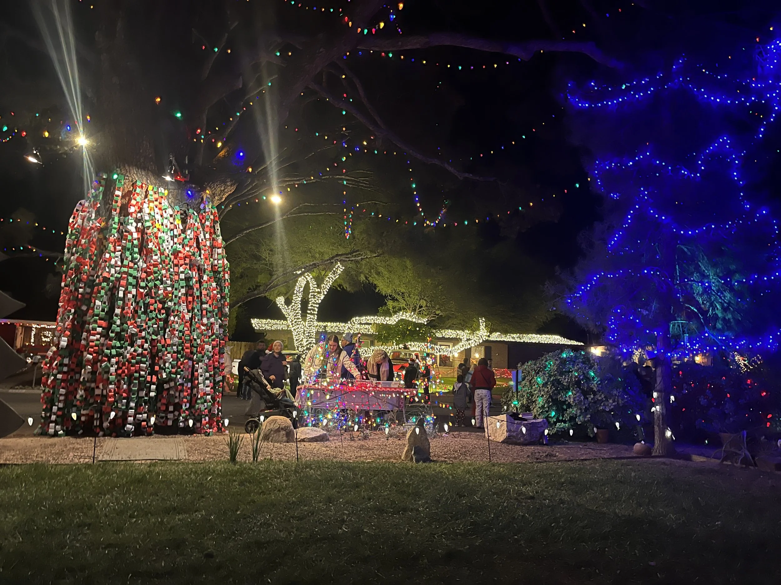 Nighttime outdoor scene with a large wishing tree decorated with colorful lights and people making their wish.