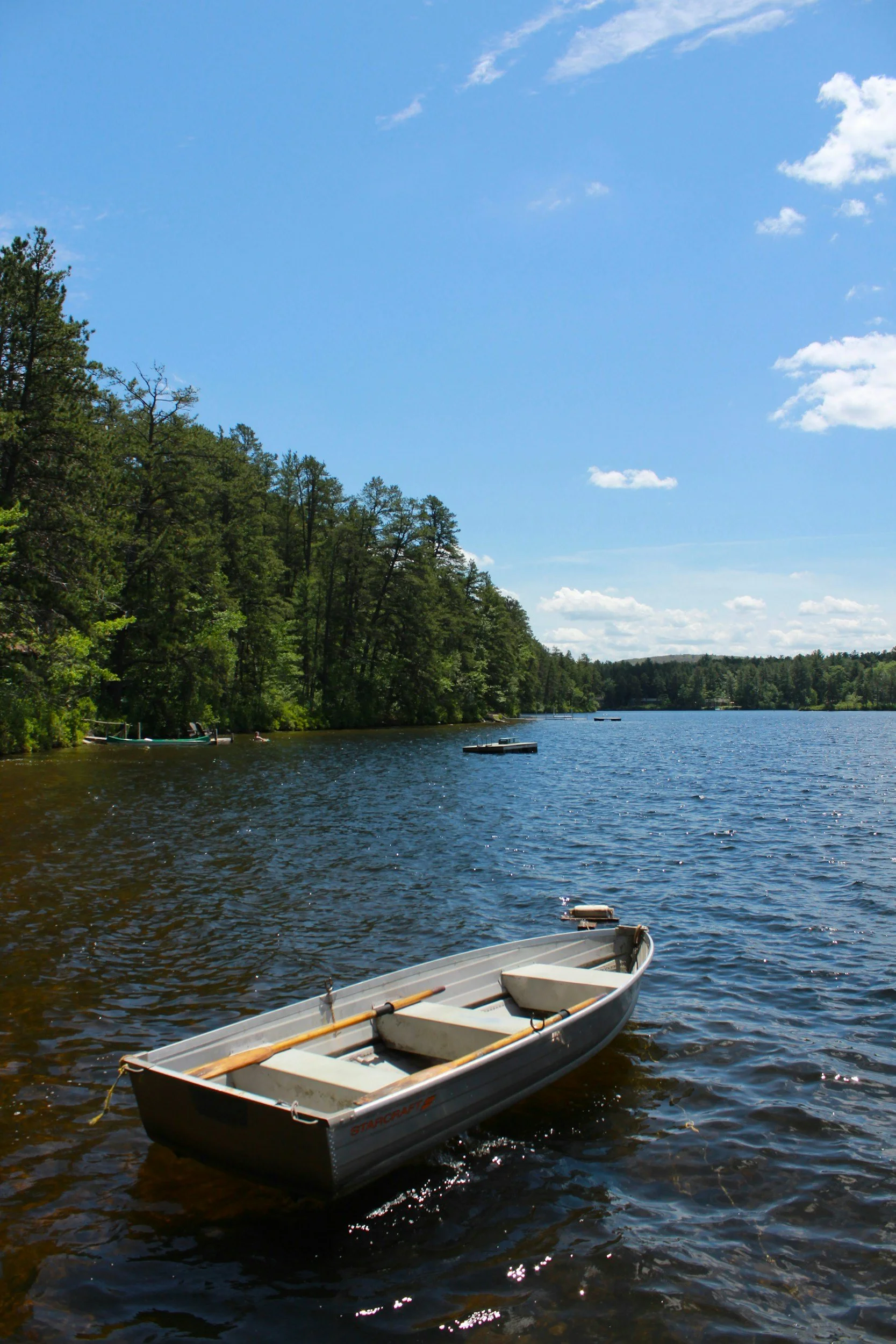 A boat floating on a calm lake with trees along the shoreline and a clear blue sky with some clouds.