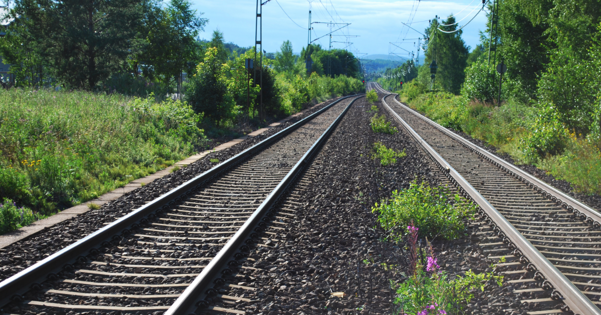 Trusting in God’s Plan