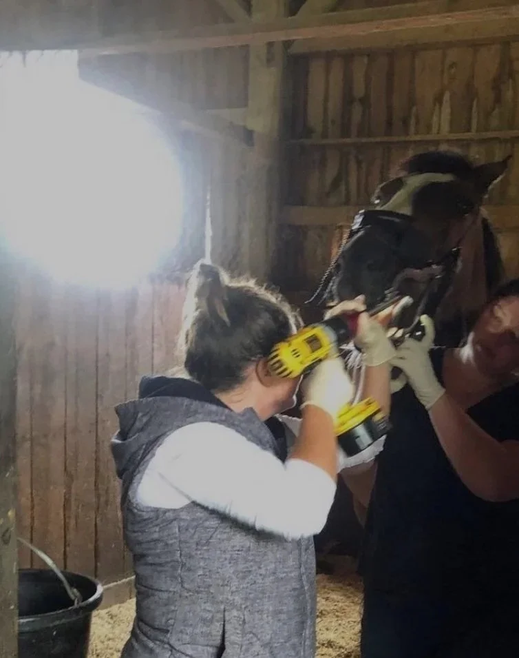 Two people in a barn working together to lift a horse using a power drill.