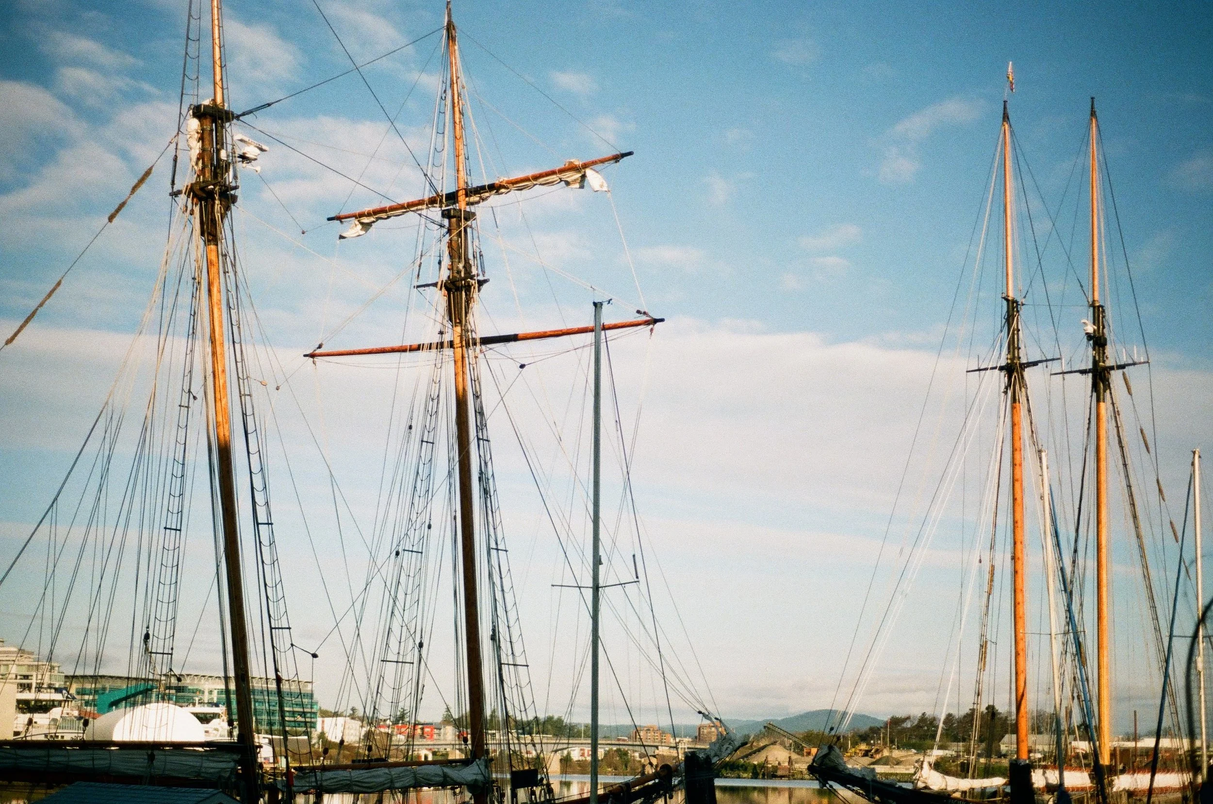 Several sailboats with tall masts docked at a marina on a clear day with blue sky and some clouds.