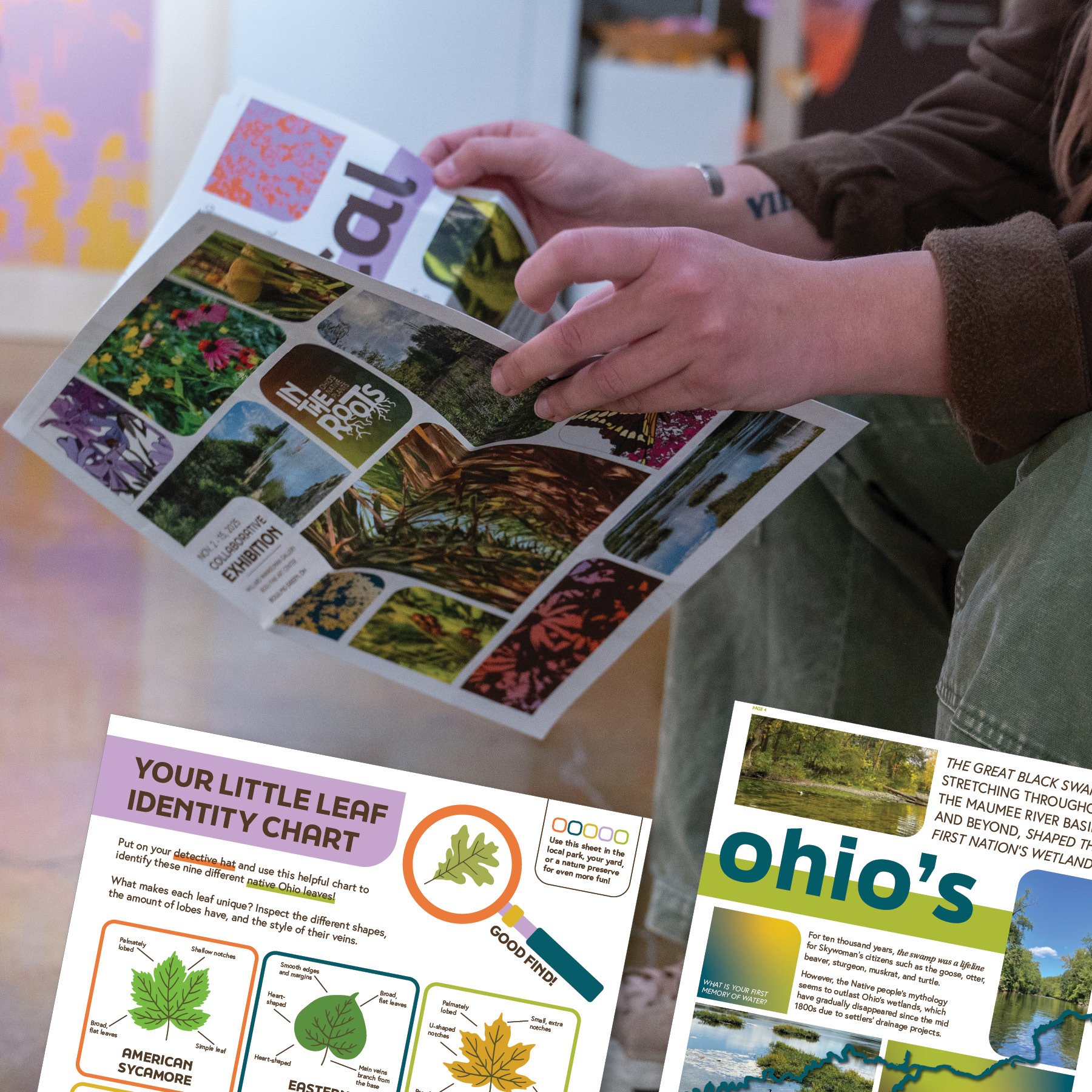 In the Roots: Ohio's Native Plants