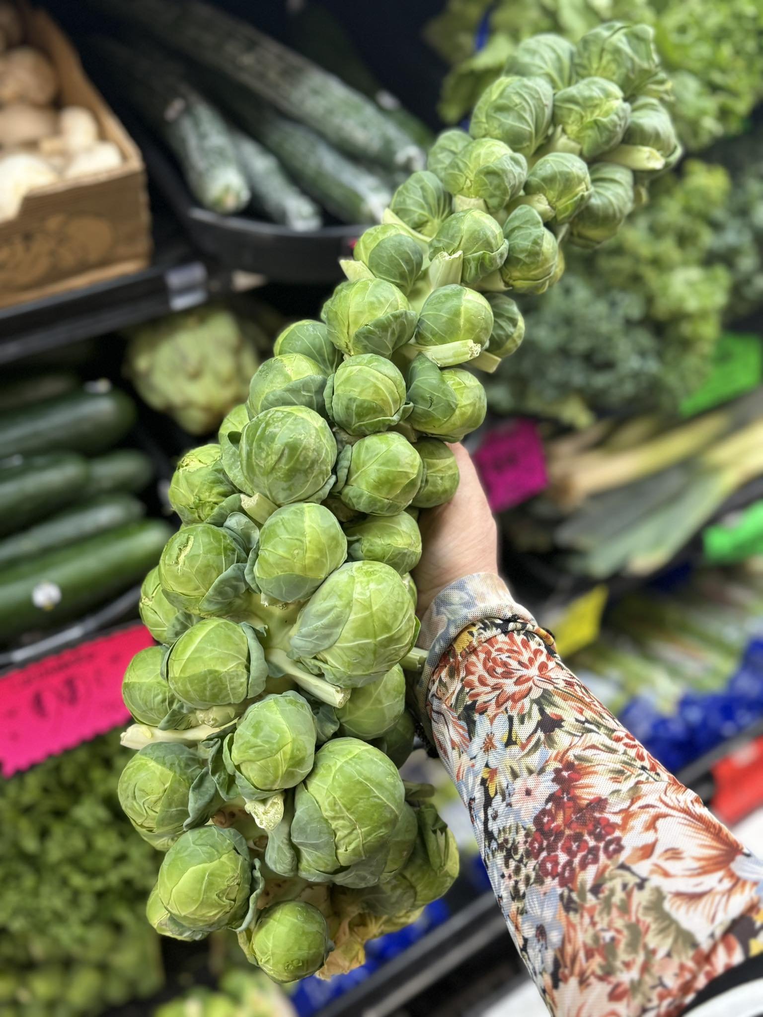 A person holding a bunch of Brussels sprouts in the produce section of a grocery store.