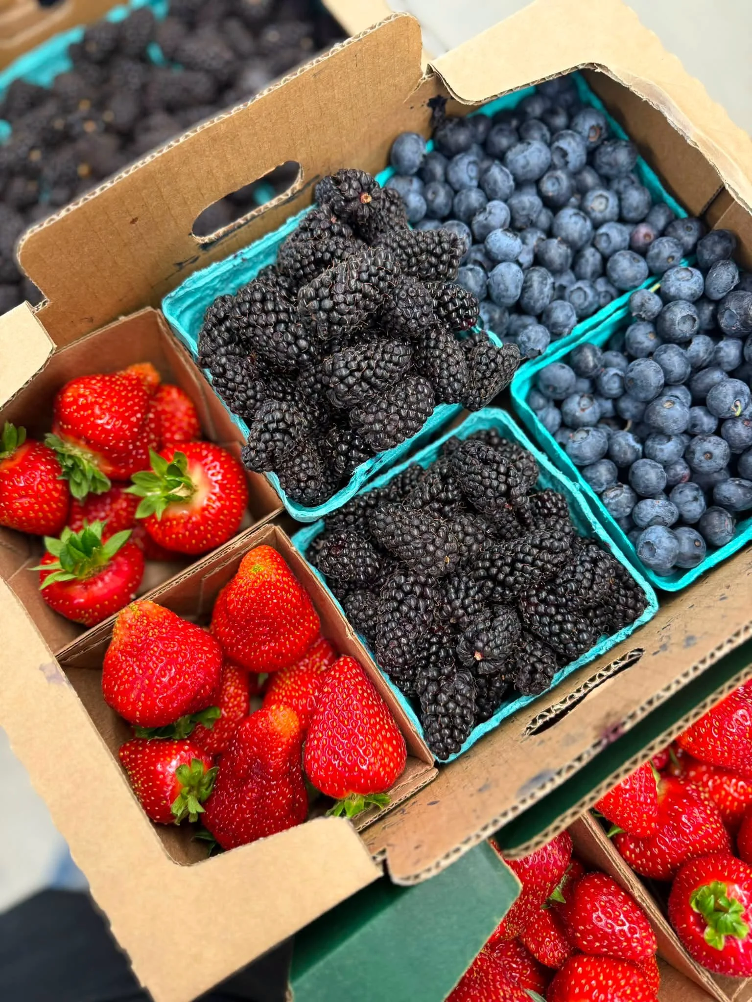 Close-up of strawberries, blackberries, and blueberries in small cardboard baskets at a market.
