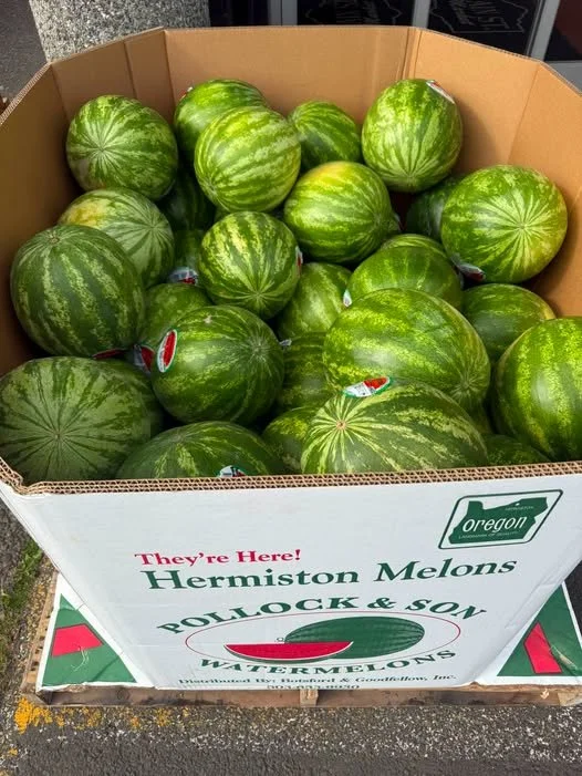 A cardboard box filled with fresh Hermiston watermelons.