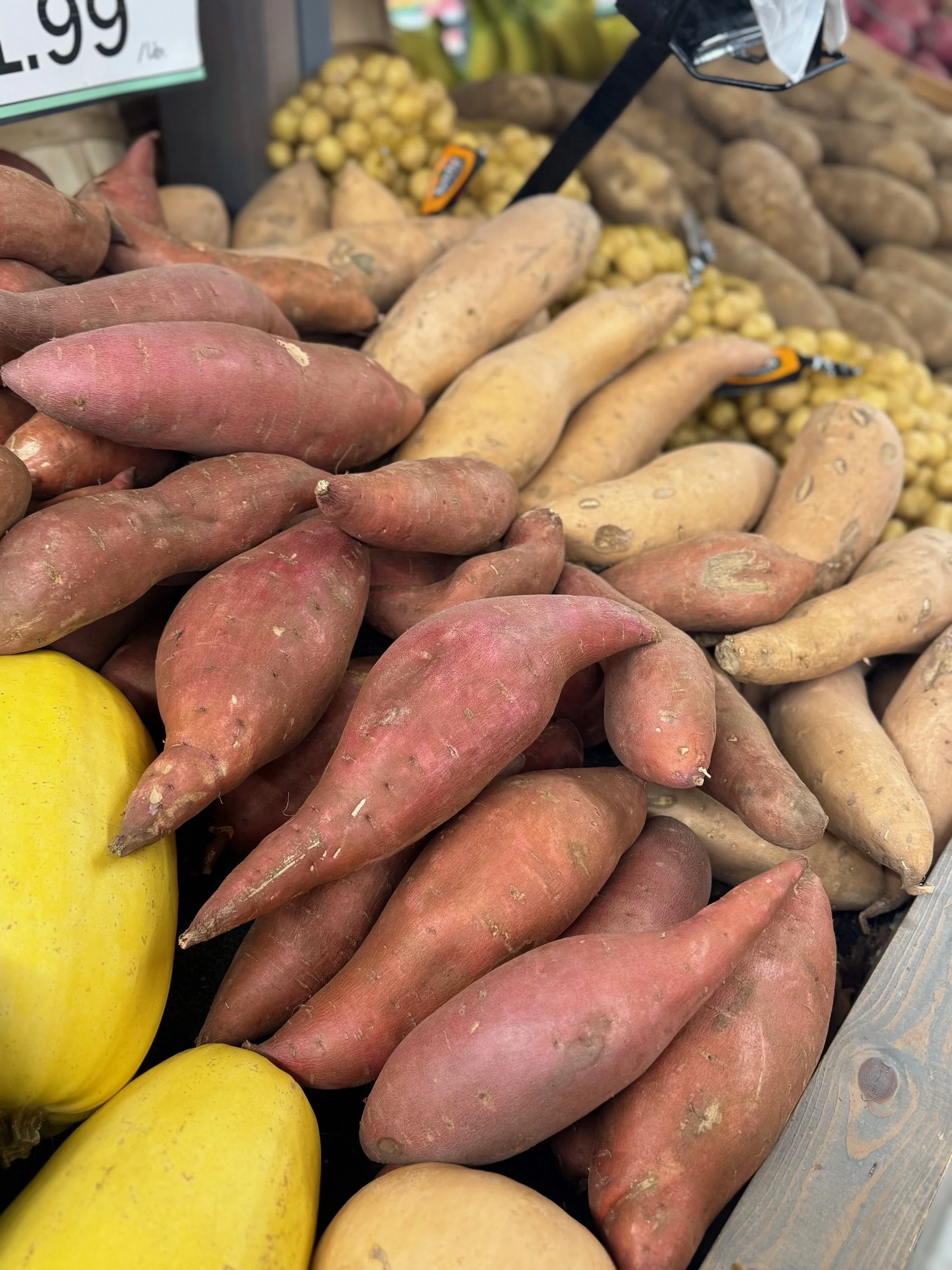 A display of sweet potatoes, yams, and butternut squash at a grocery store.