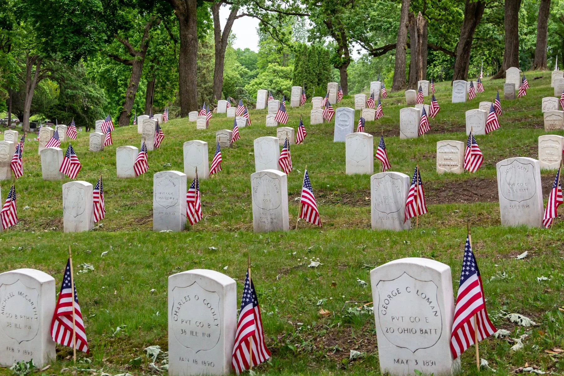 Bluff City Cemetery Elgin IL