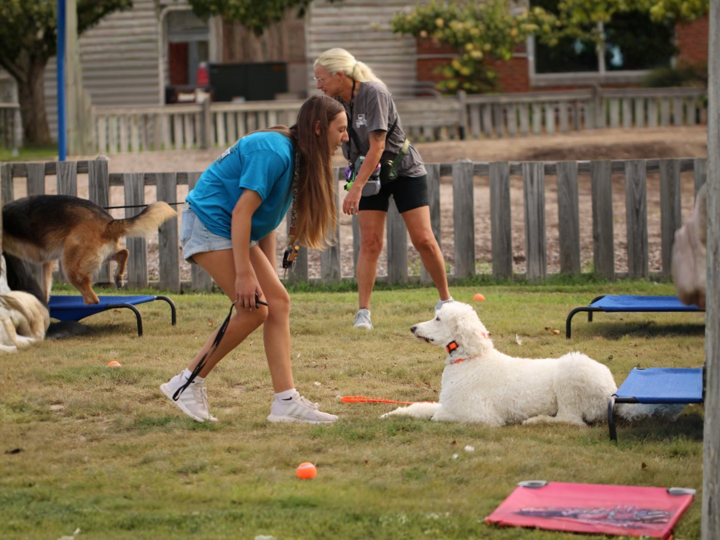 Board & Train Bootcamp