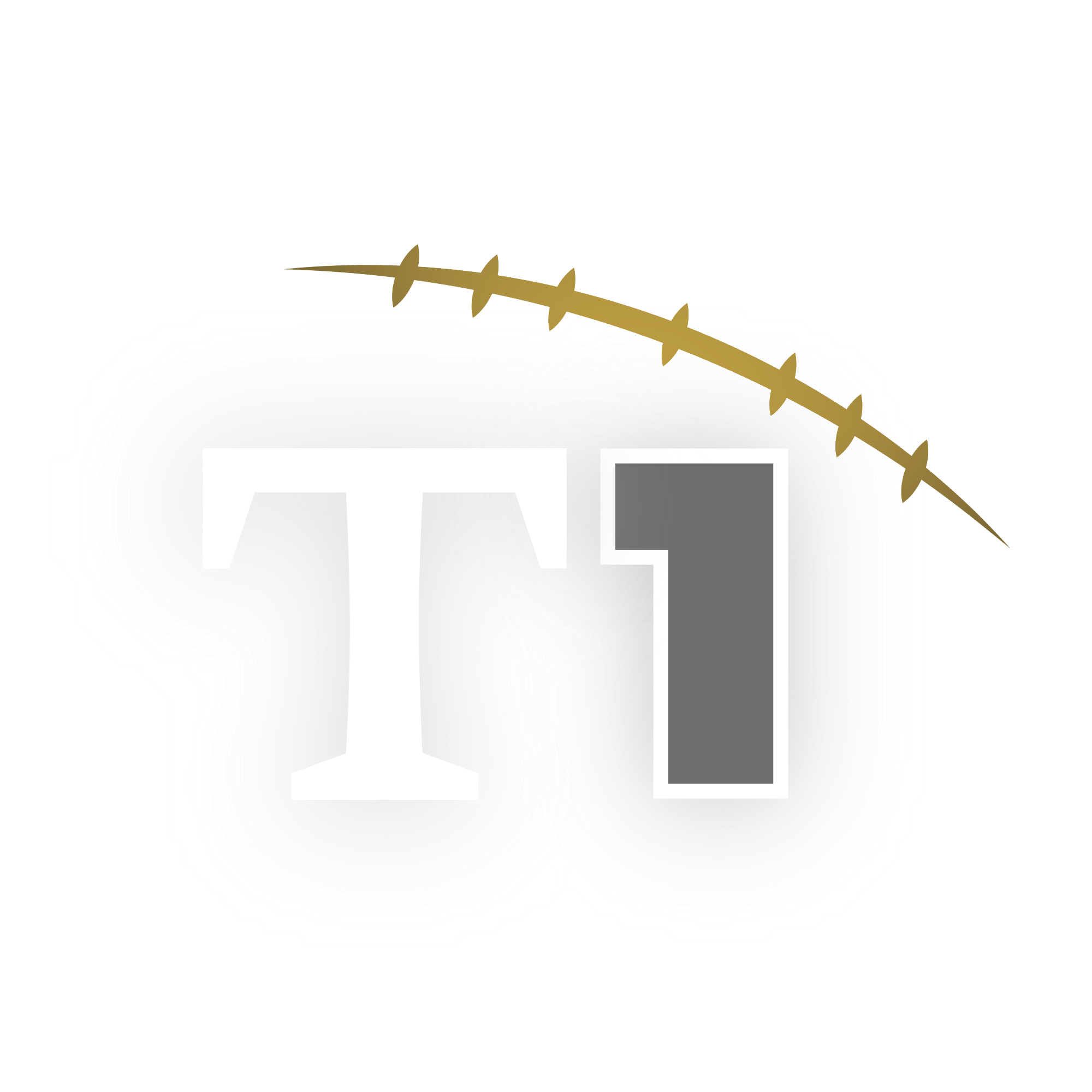 Secondary Logo White.PNG