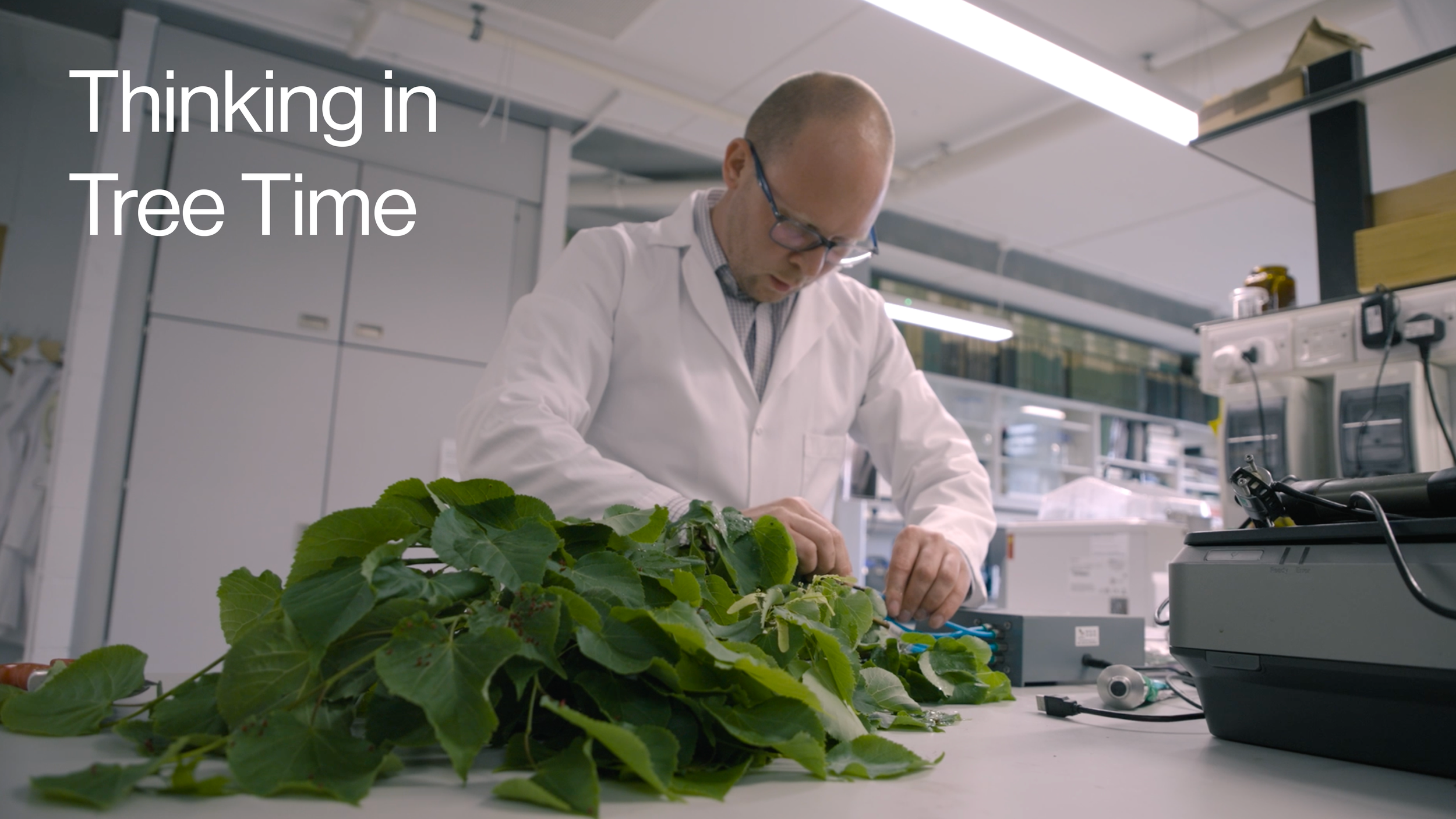ThinkinginTreeTime.png