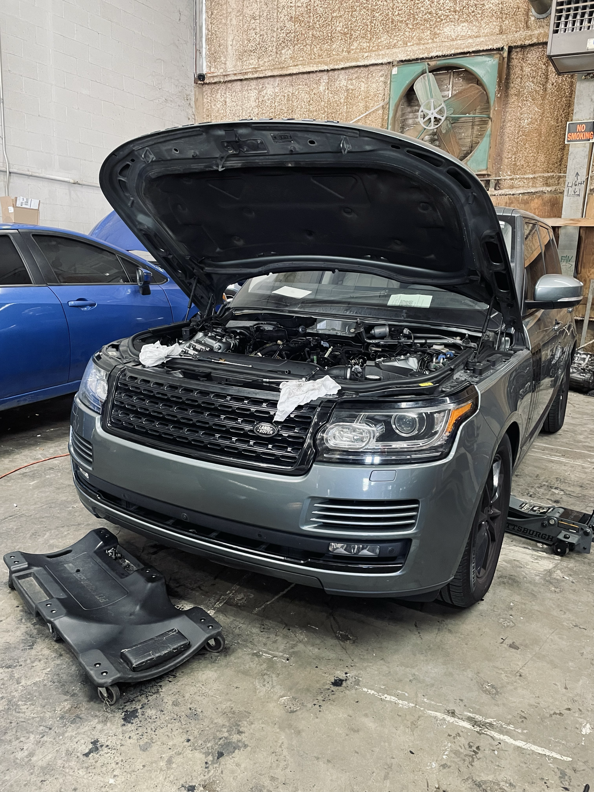 Oil Leak Diagnosis & Repair in Progress