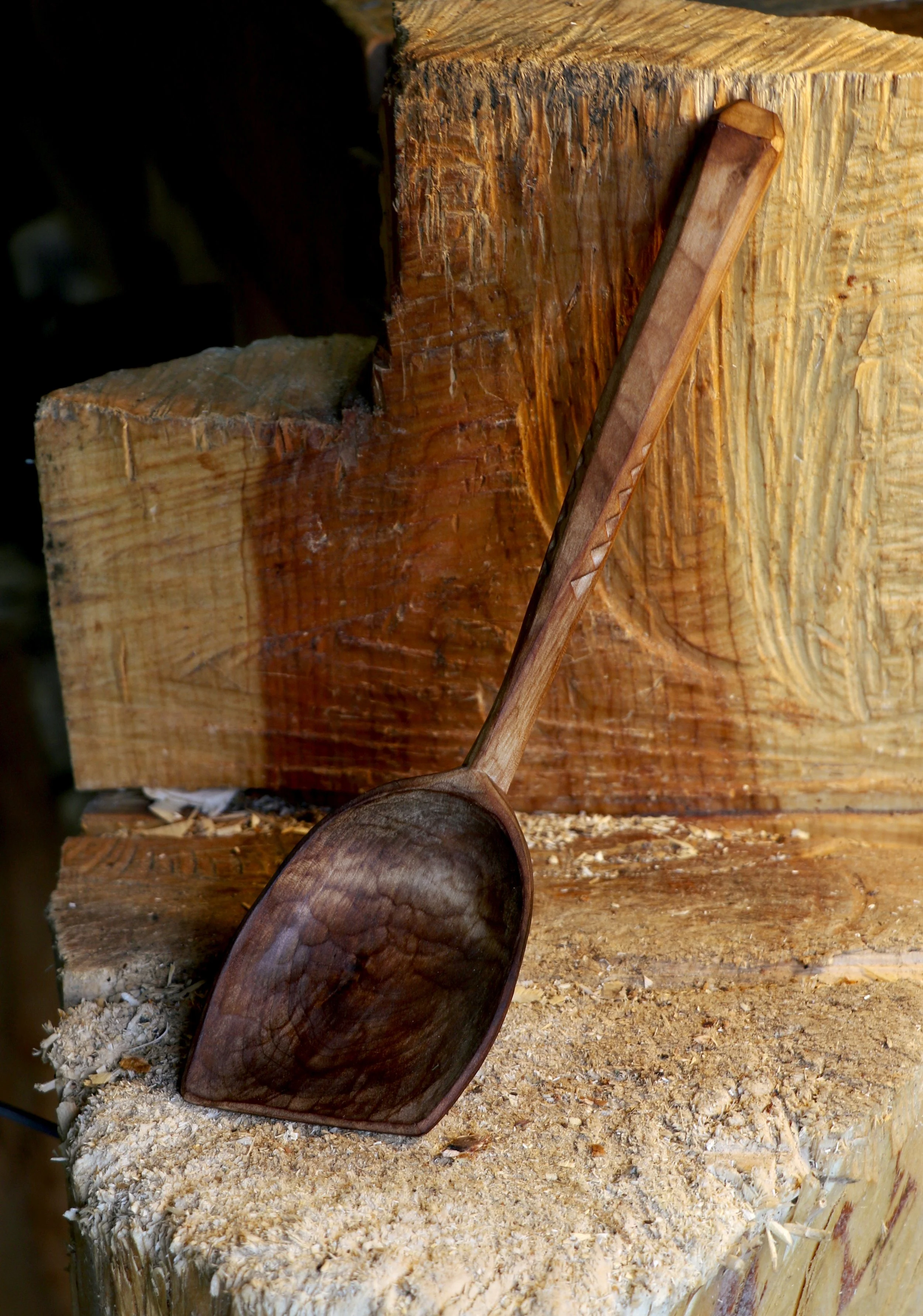 Tidig kökskompis från 2020