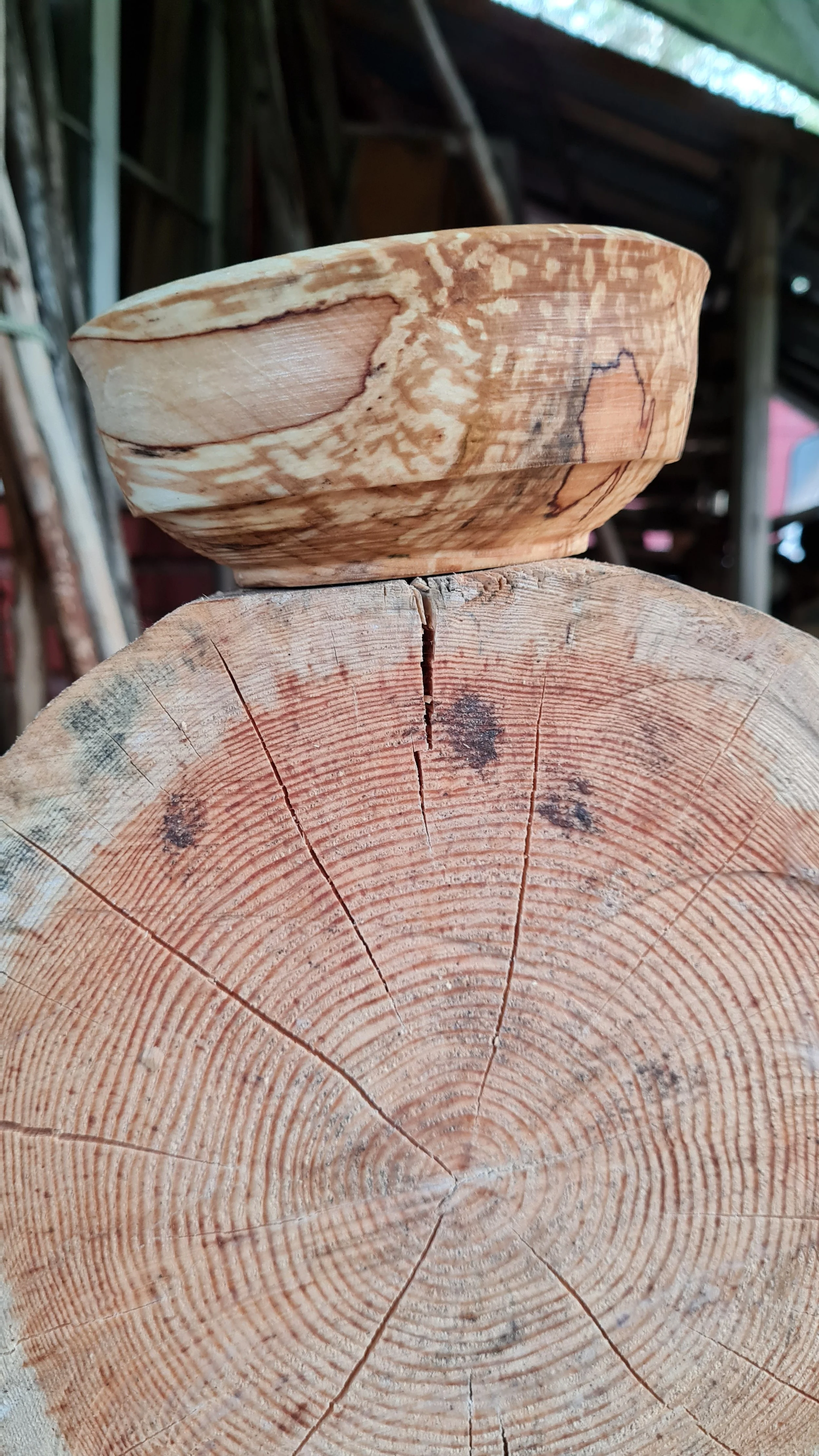 Den rötade björken