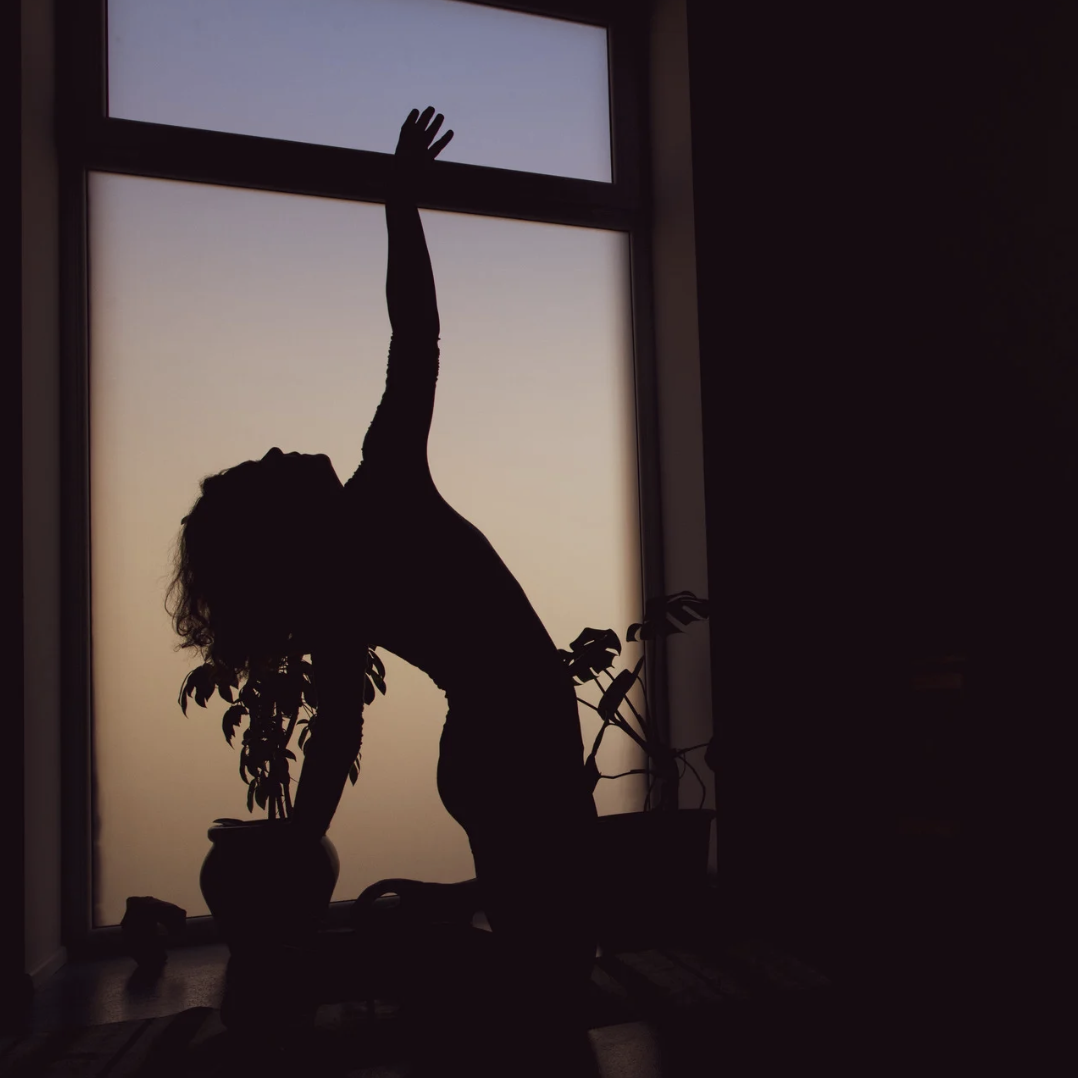 Embodying our Shadows