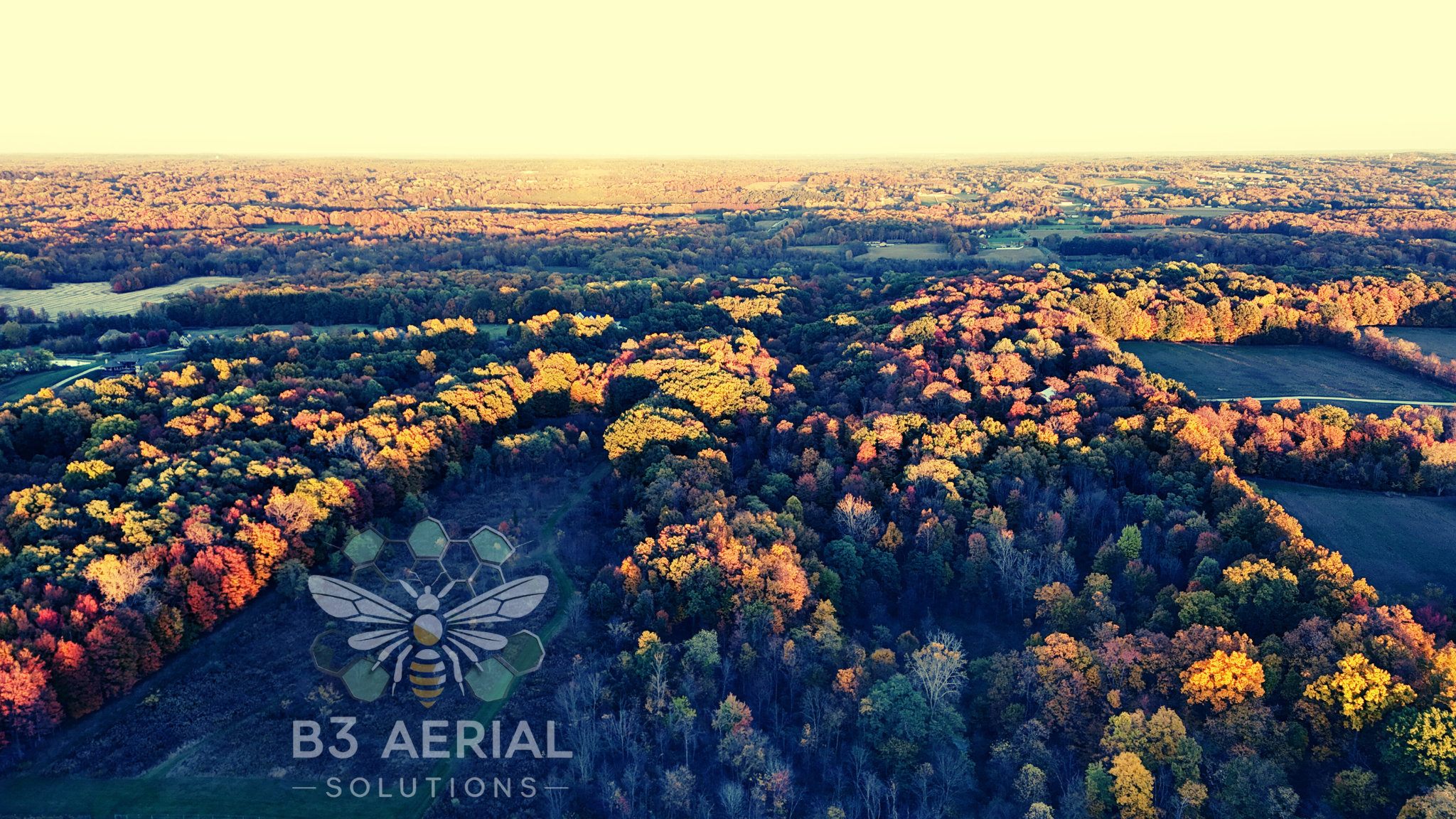 Untitled design (14).png