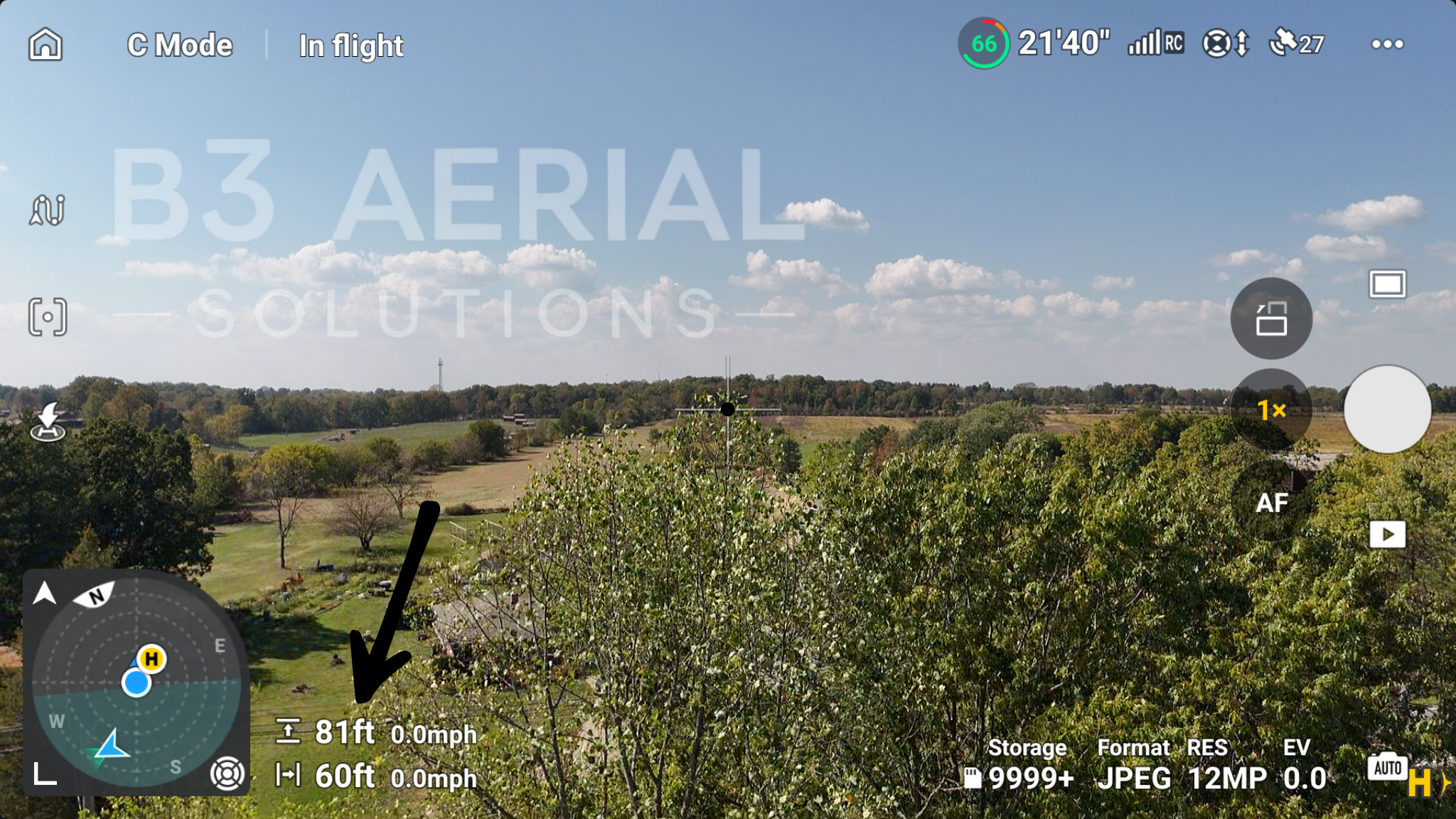 Untitled design (3).png