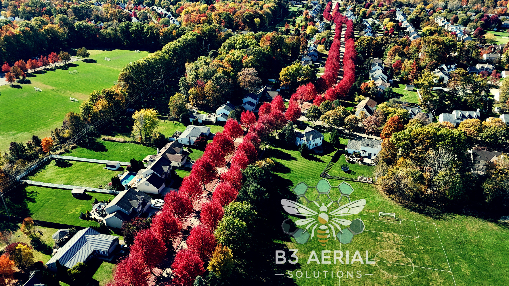 Untitled design (17).png