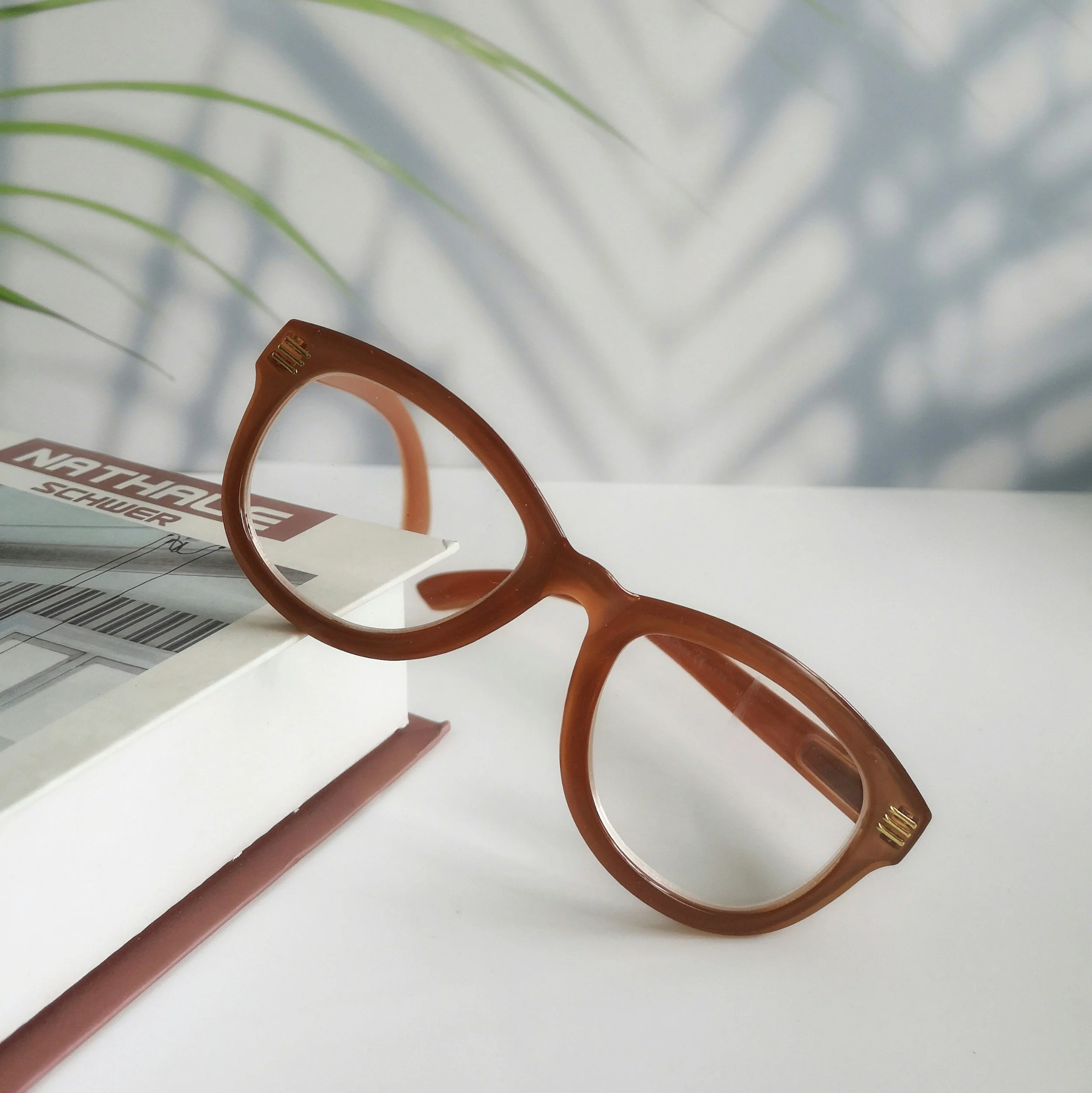 Pair of brown eyeglasses resting on a white book with a shadow of a plant in the background.